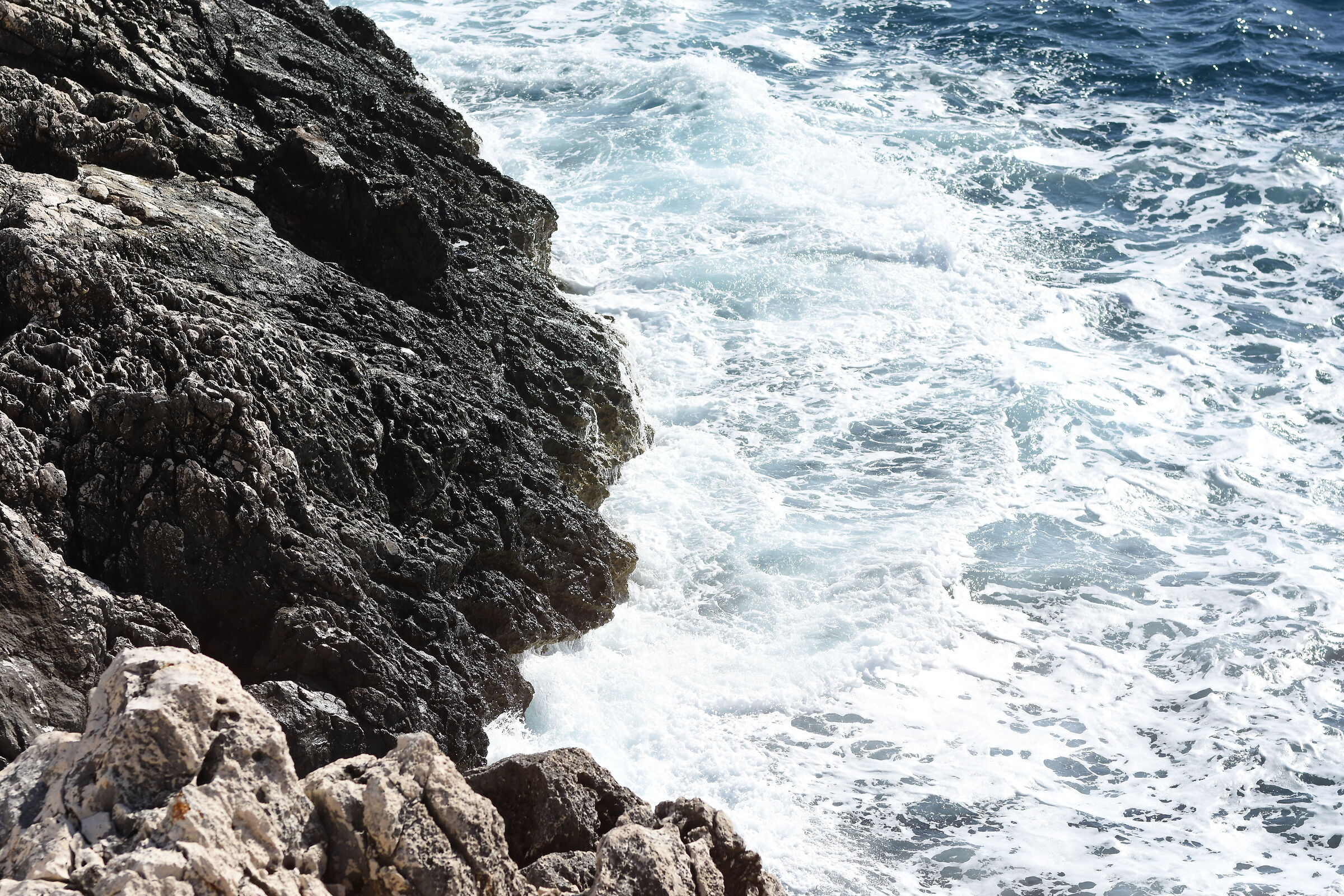 " F. 2.8 " , 1/ 8.0 0 0, ISO 250- Sigma 85, 1.4 Ar...
