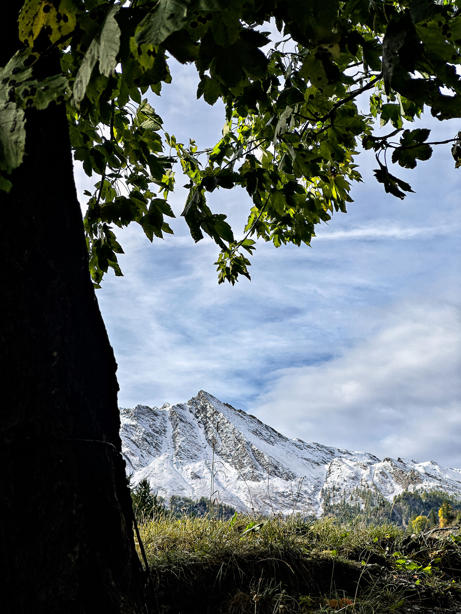 The Great Spire from Borgata Selle
