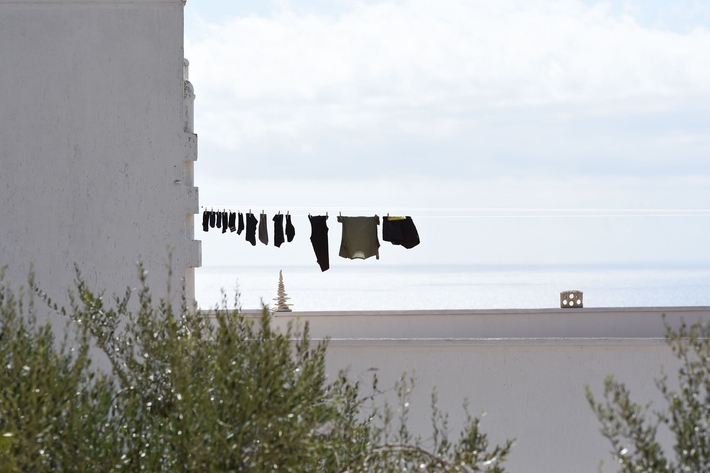 " F. 2.8 " , 1/ 8.0 0 0, ISO 250- Sigma 85, 1.4 Ar...
