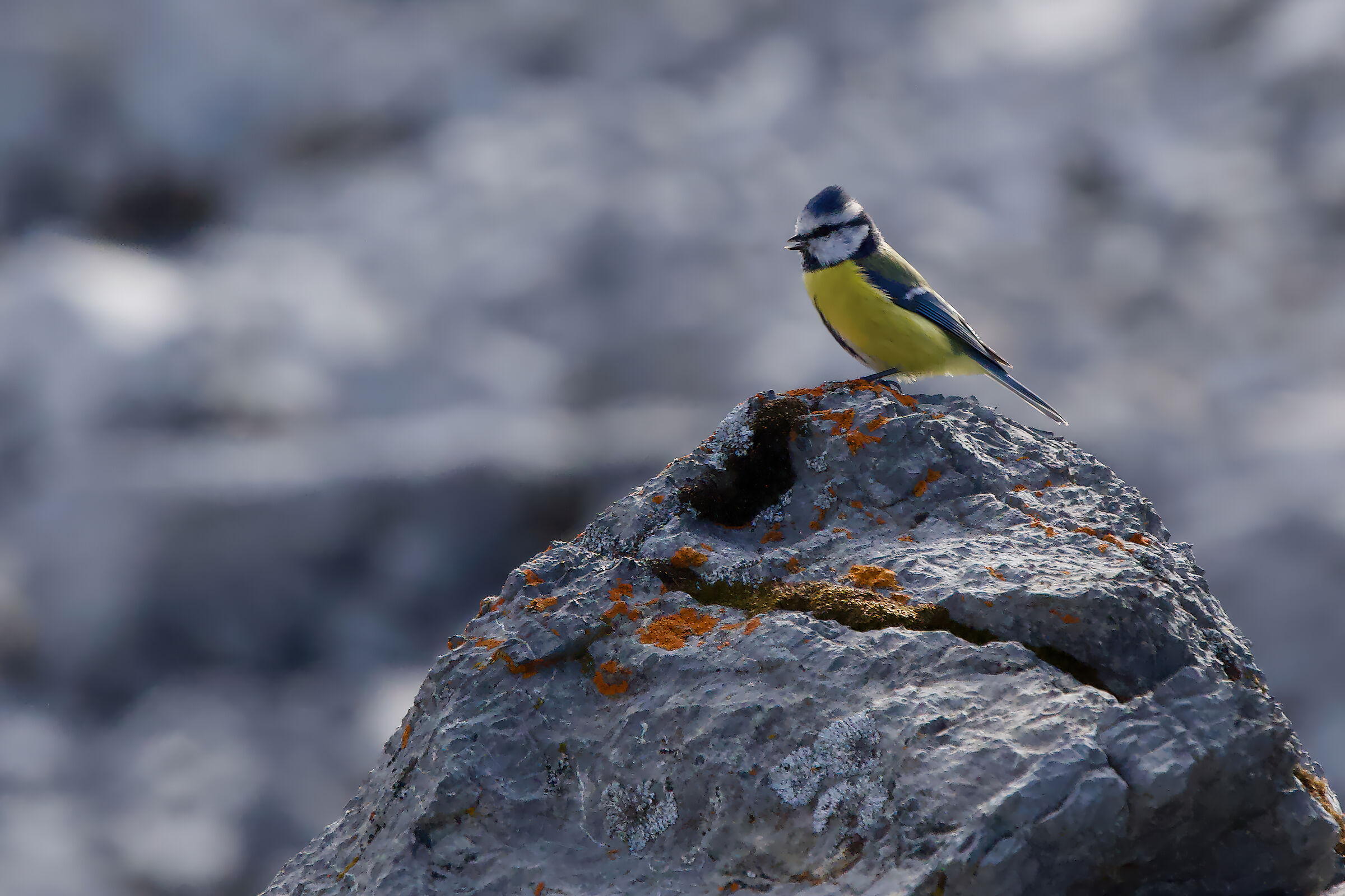 Blue