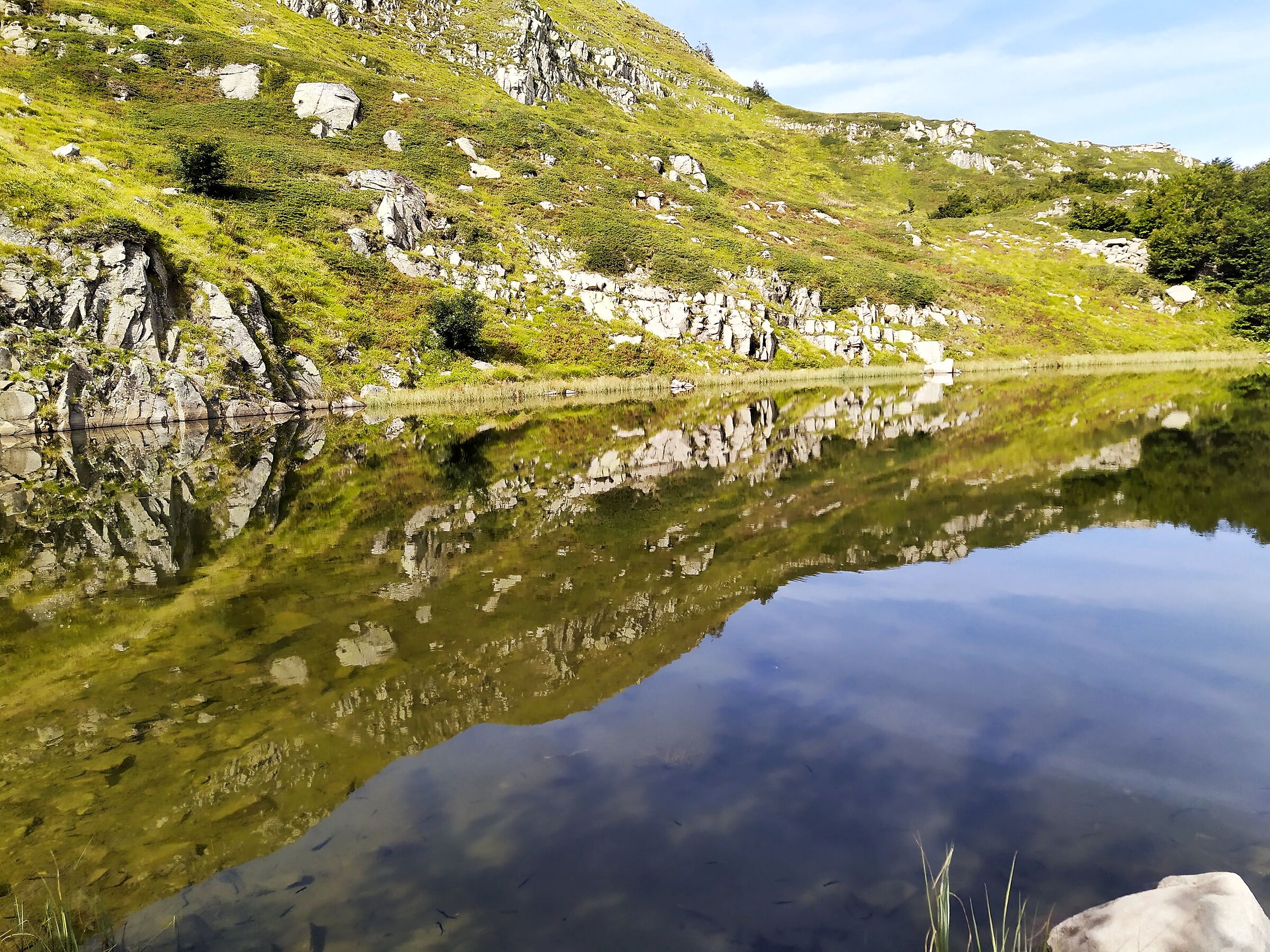 Reflection on the black lake