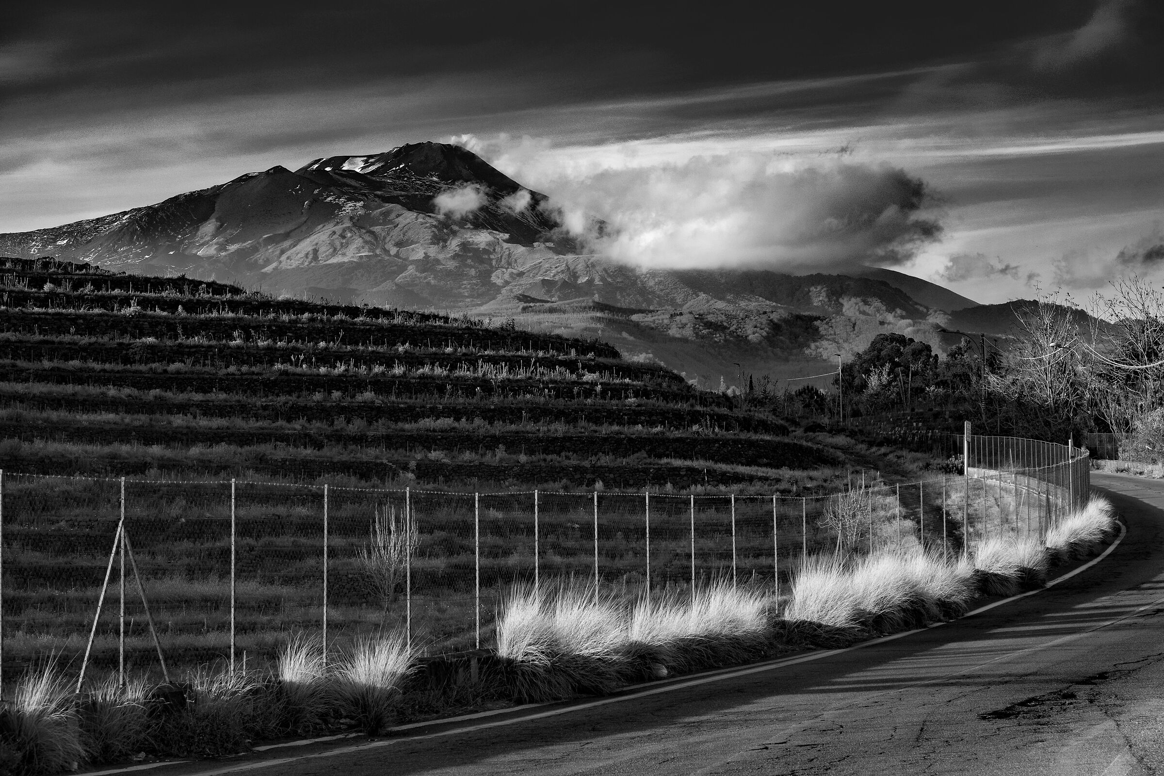 vino dell'etna