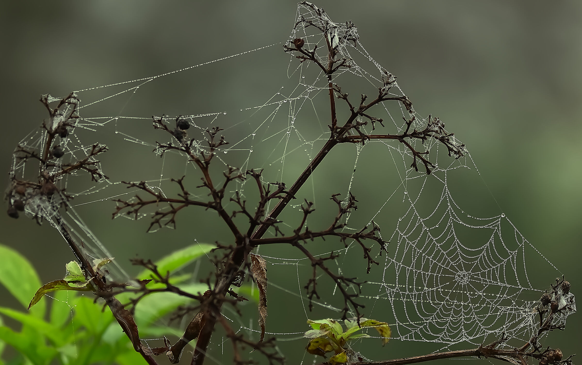 Autumn effects.