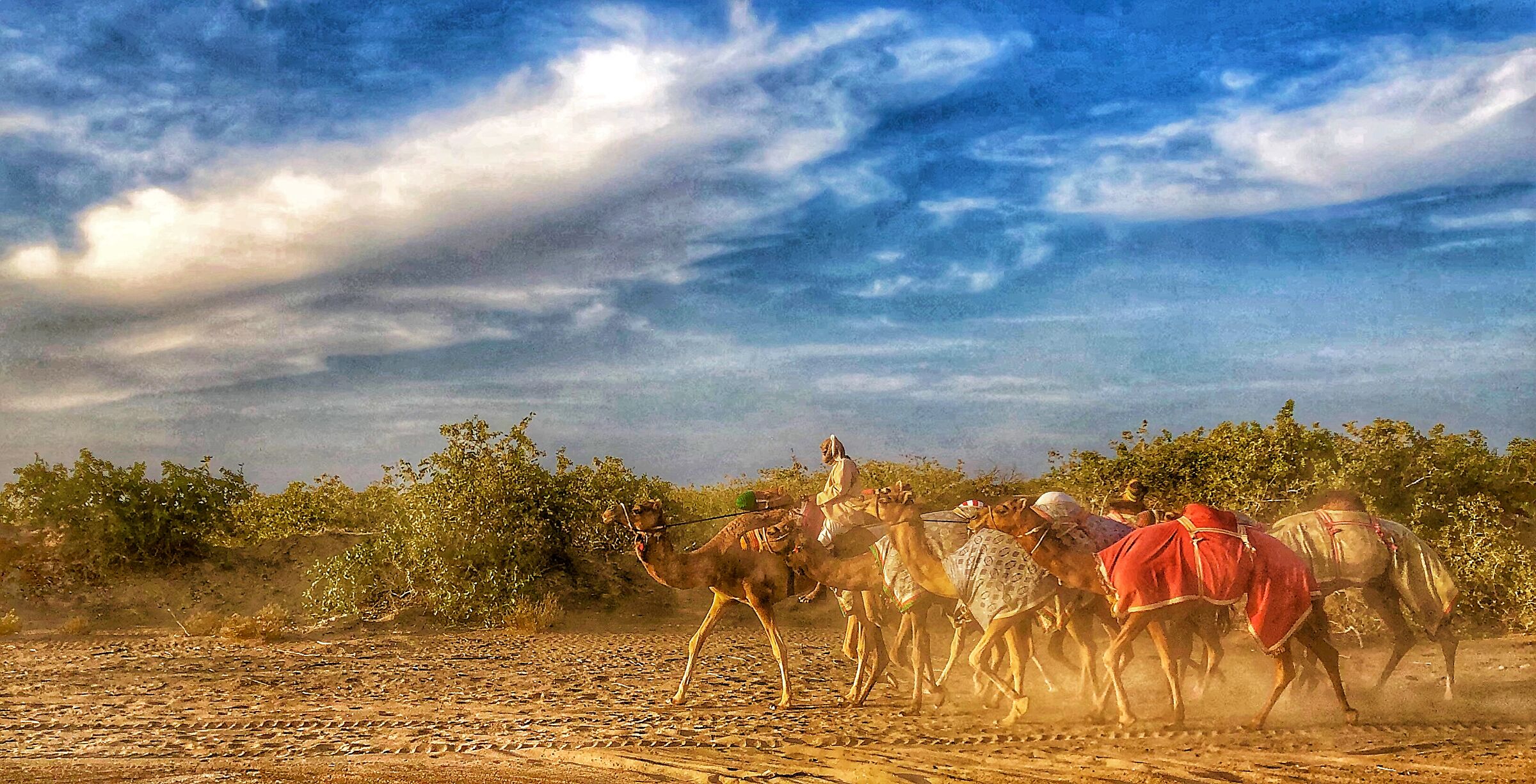 Caravans in Oman