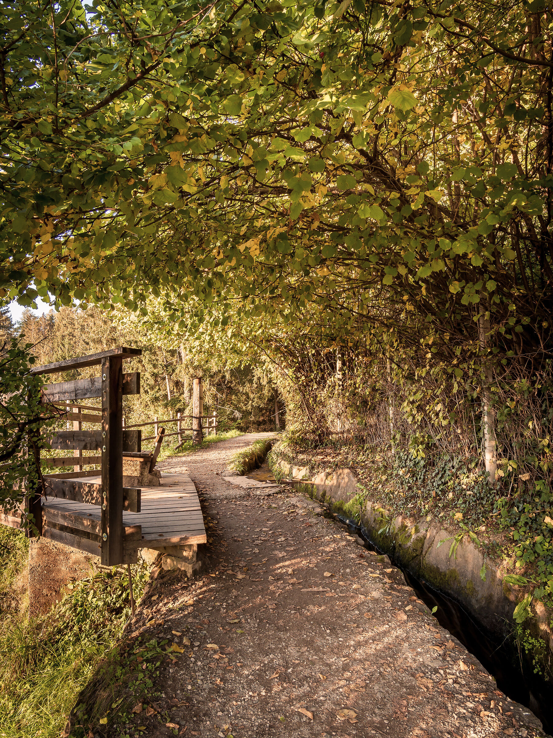 Autunno