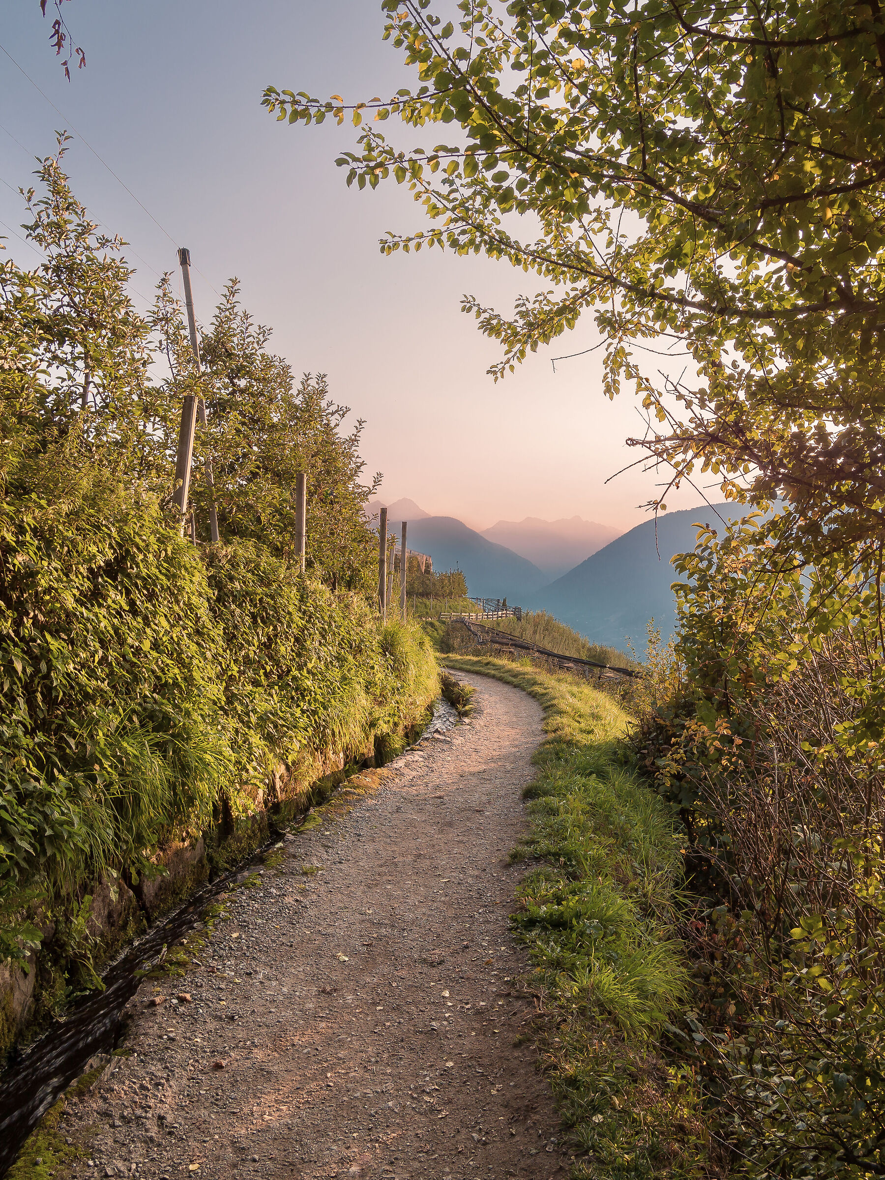 Sentiero autunnale al tramonto