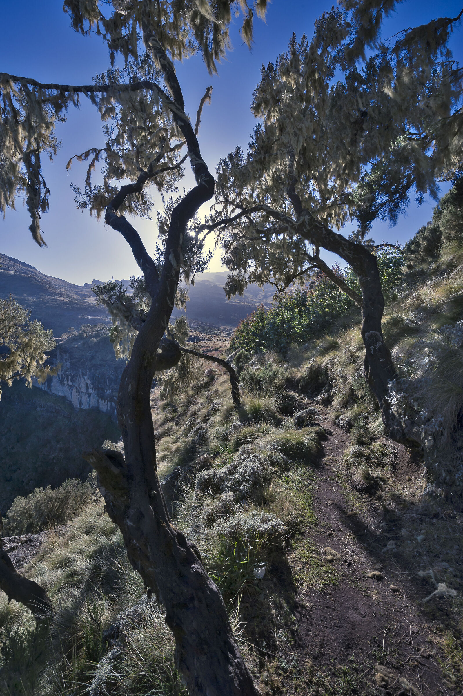 Sentiero sulla Rift Valley