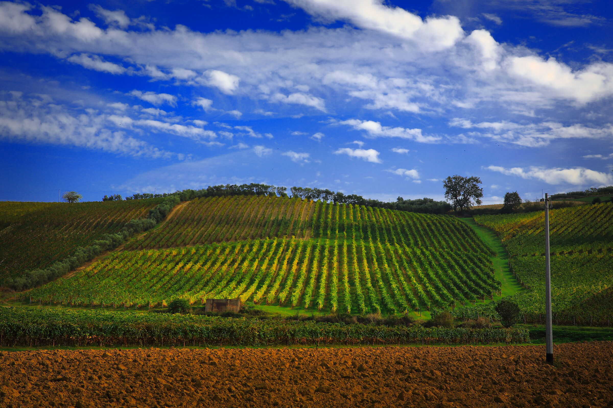 Autunno