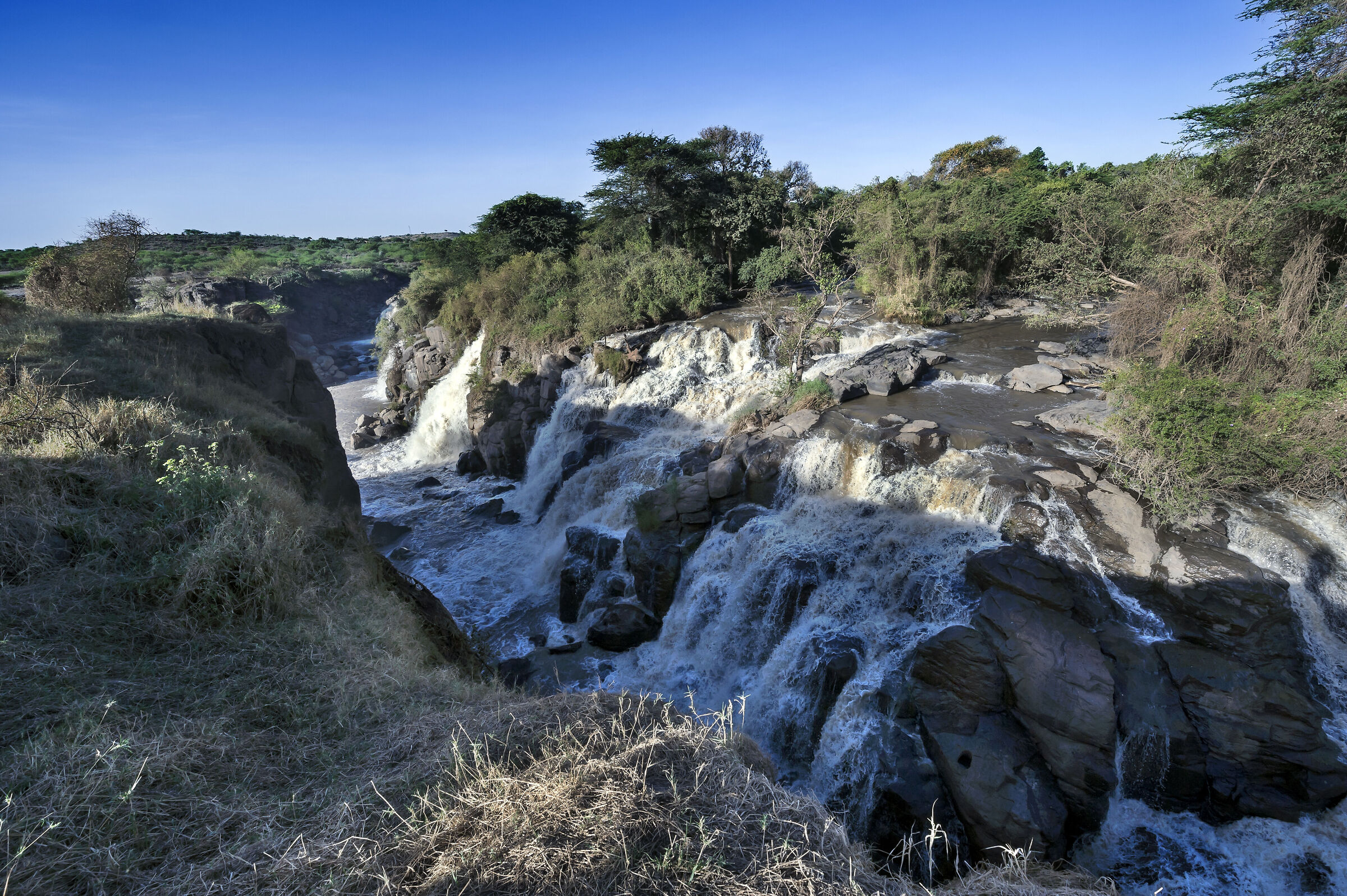 Cascate del fiume Awash