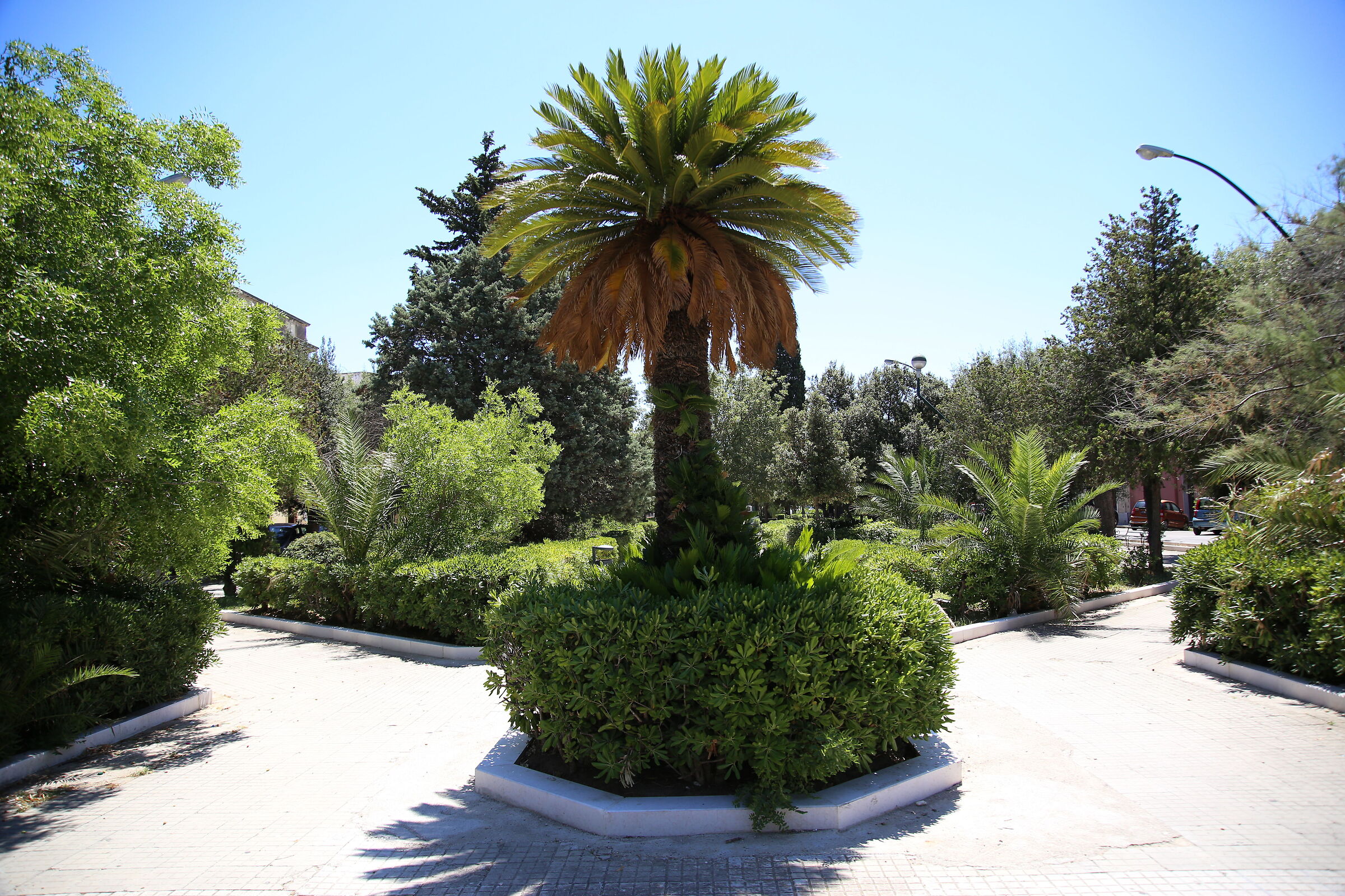 " 1/ 1.0 0 0 " , F. 4, ISO 250- Sigma 24-105 F. 4 ...