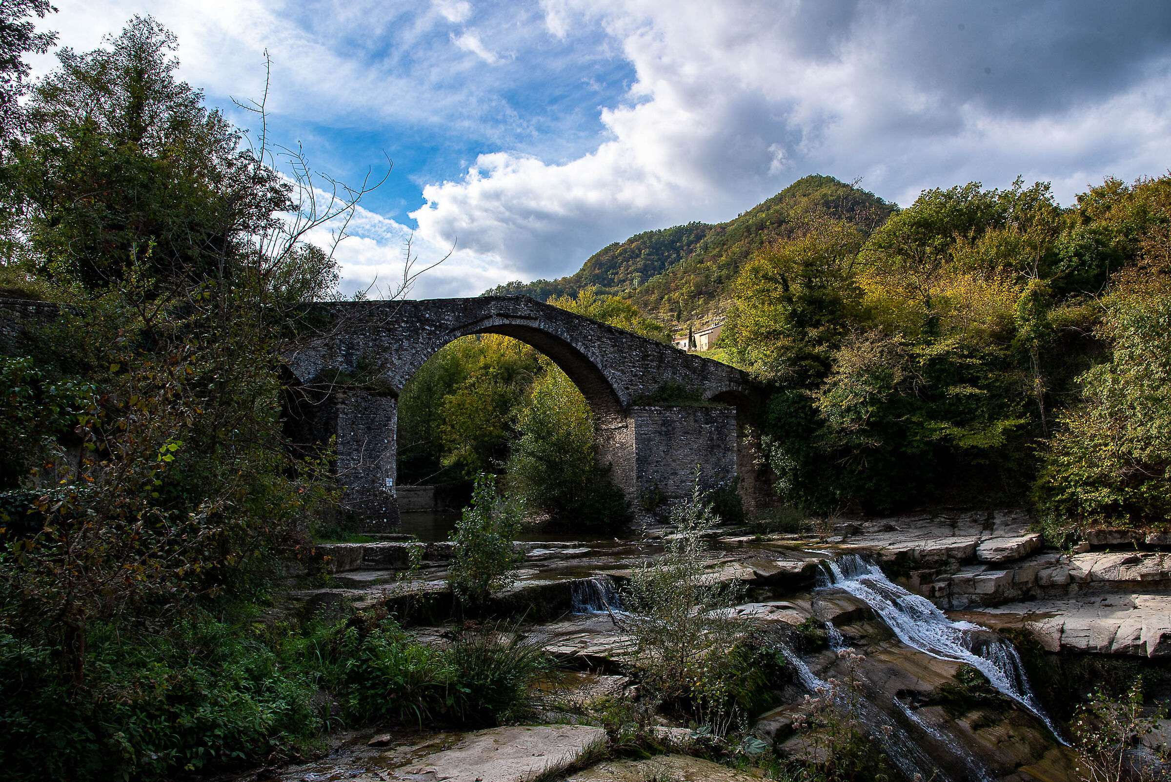 Untitled Photo
