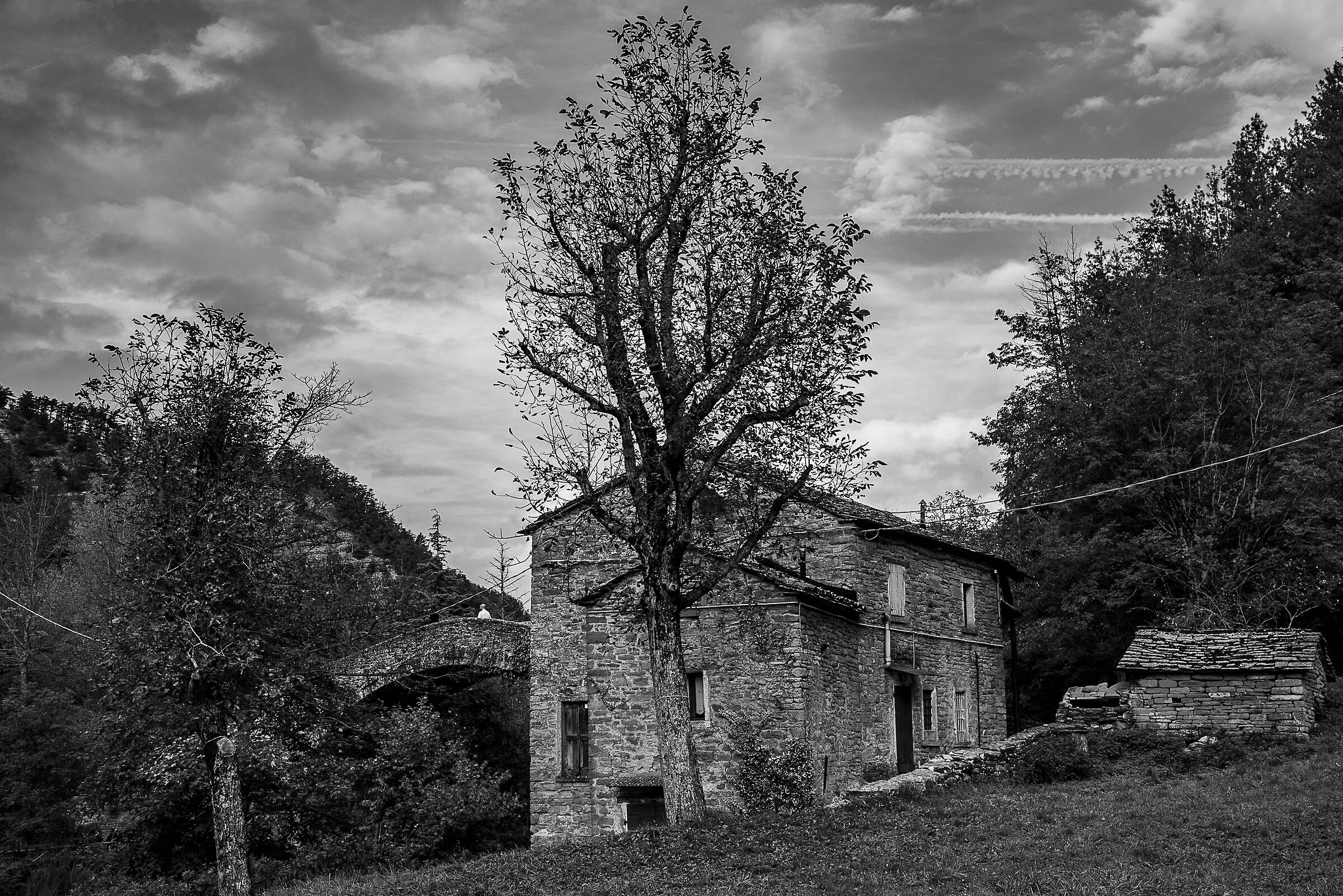 Untitled Photo