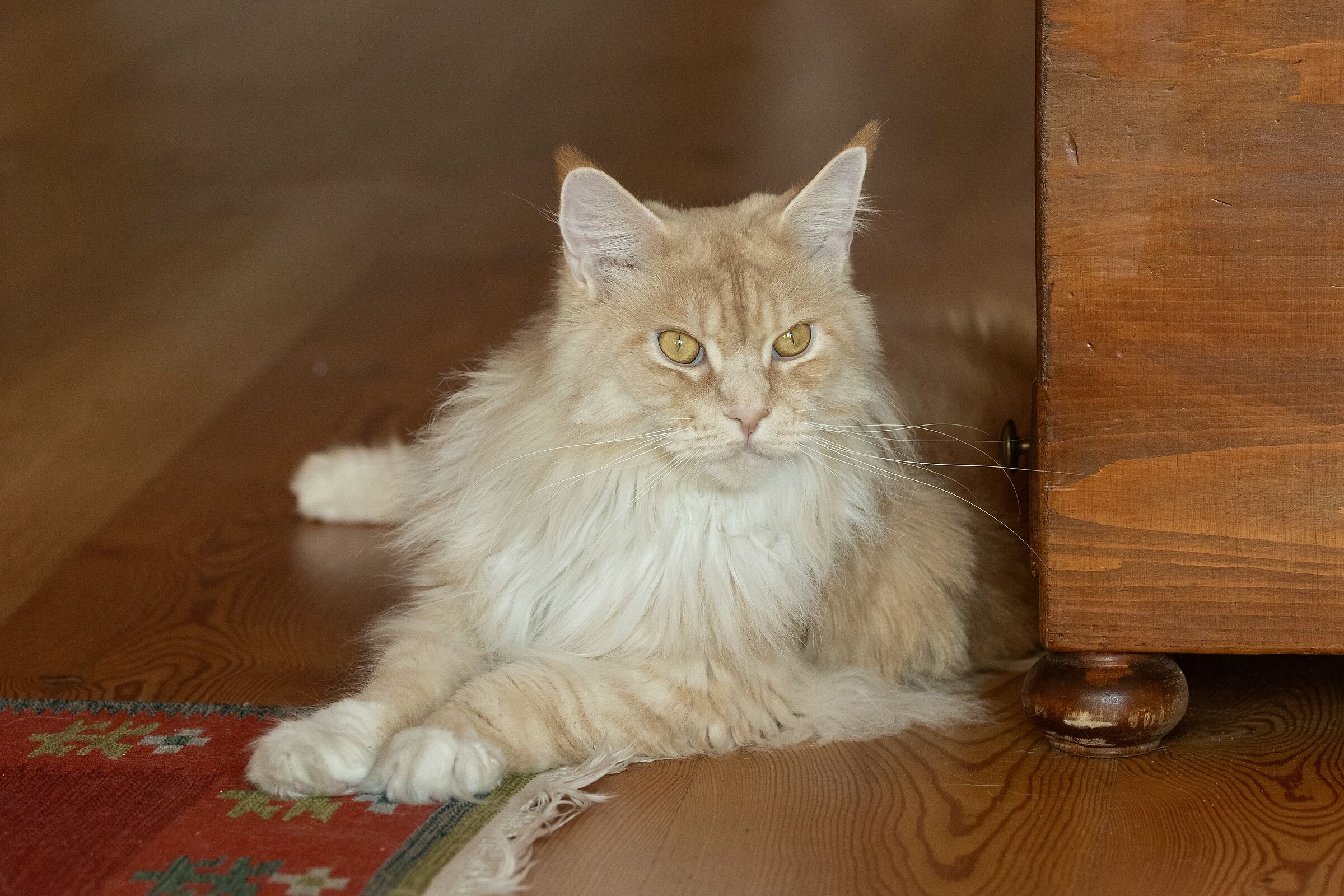 Frida. Antidepressivo naturale…