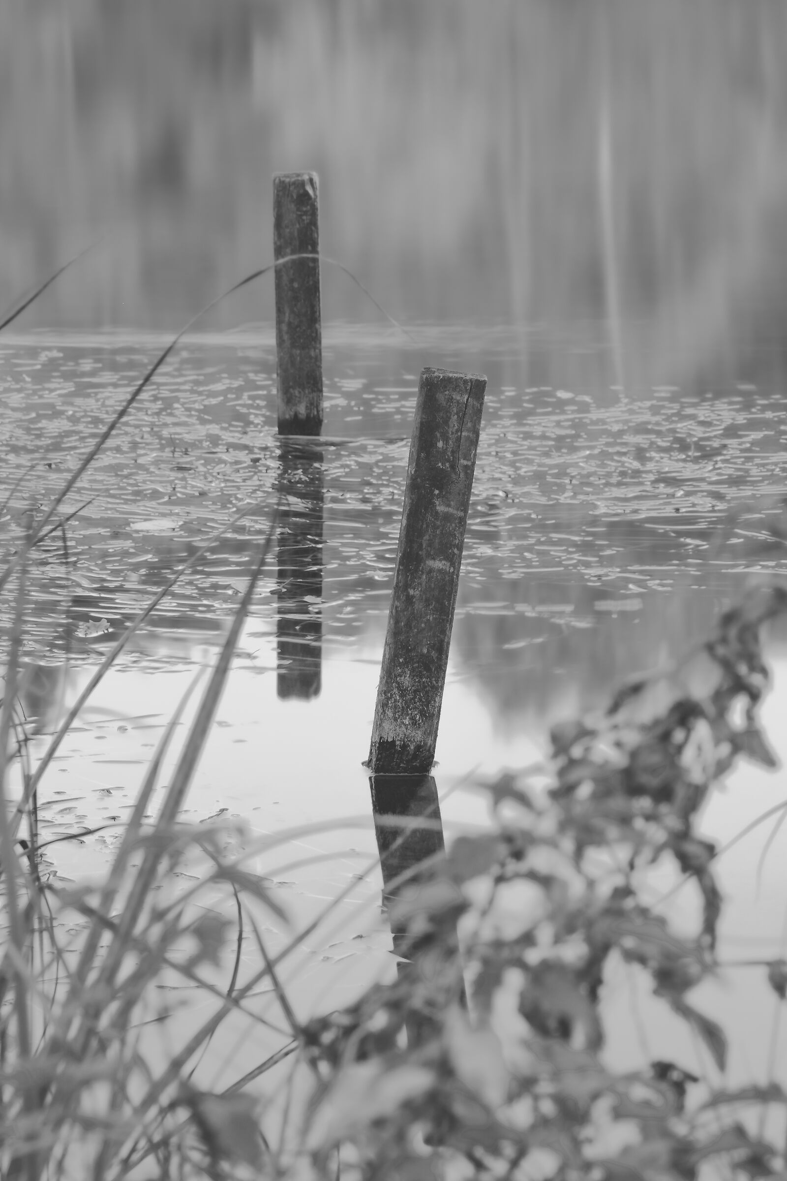 Sadness and solitude