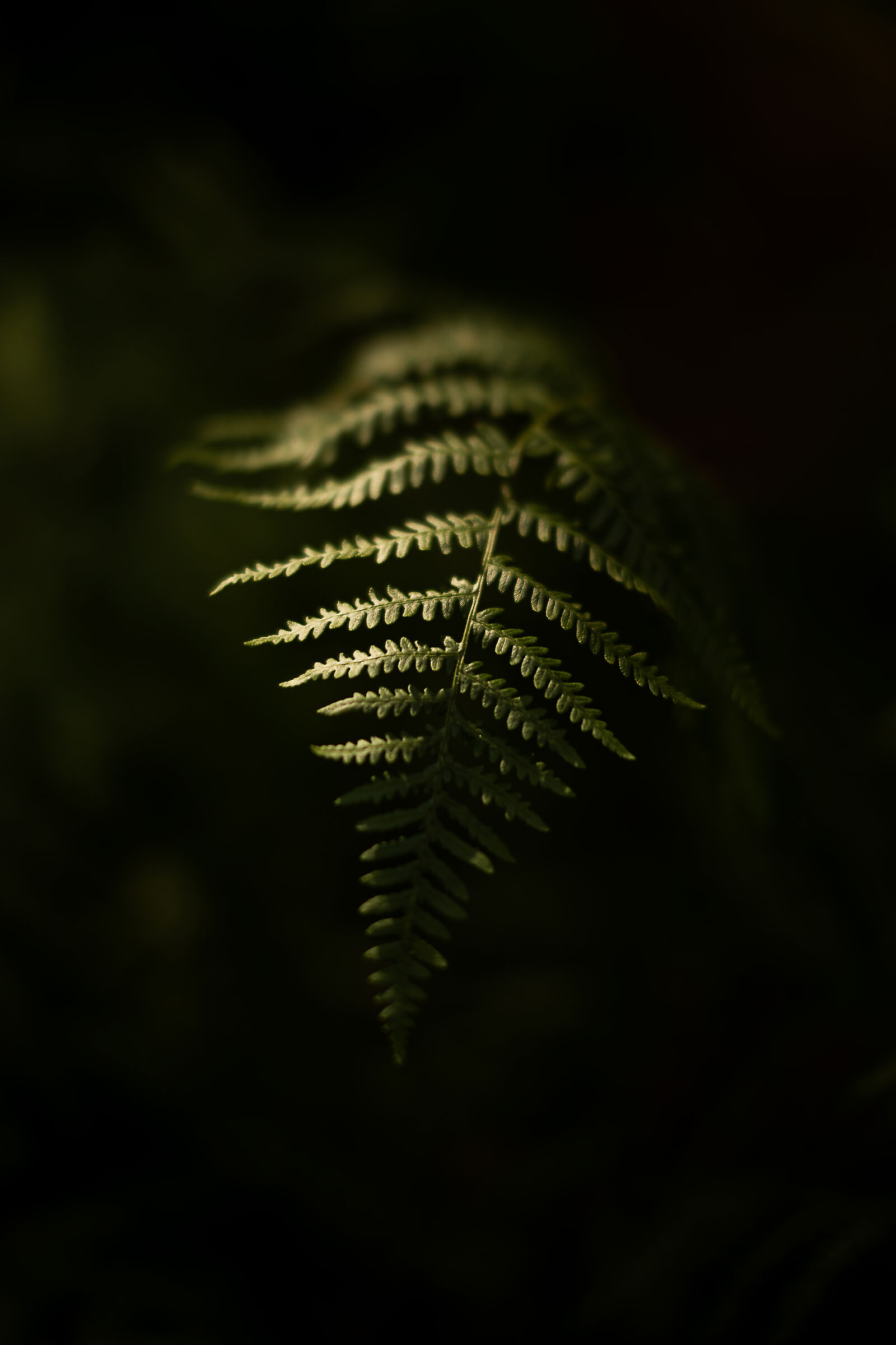 Untitled Photo
