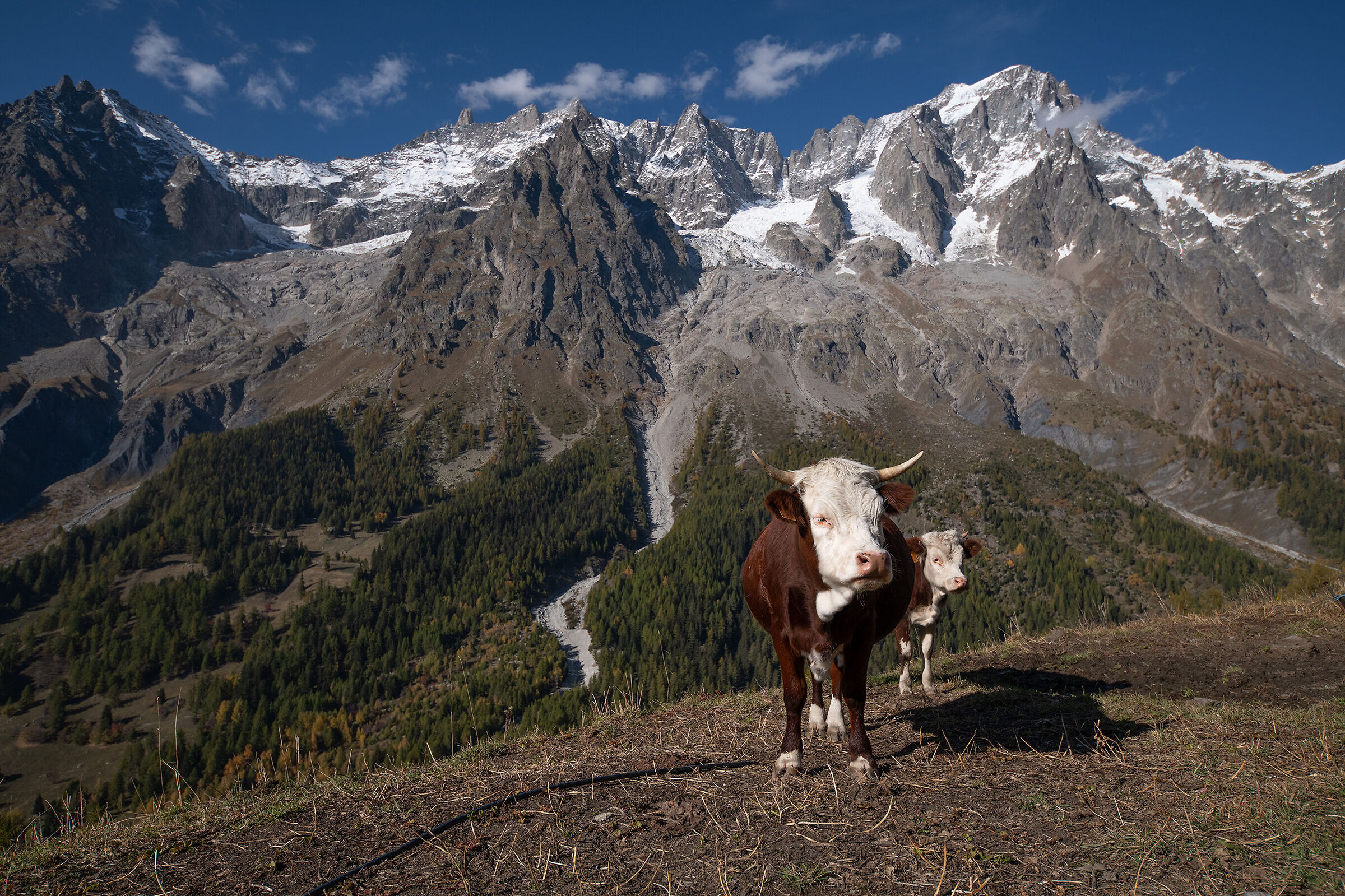 Guarda anche noi e non solo il panorama!