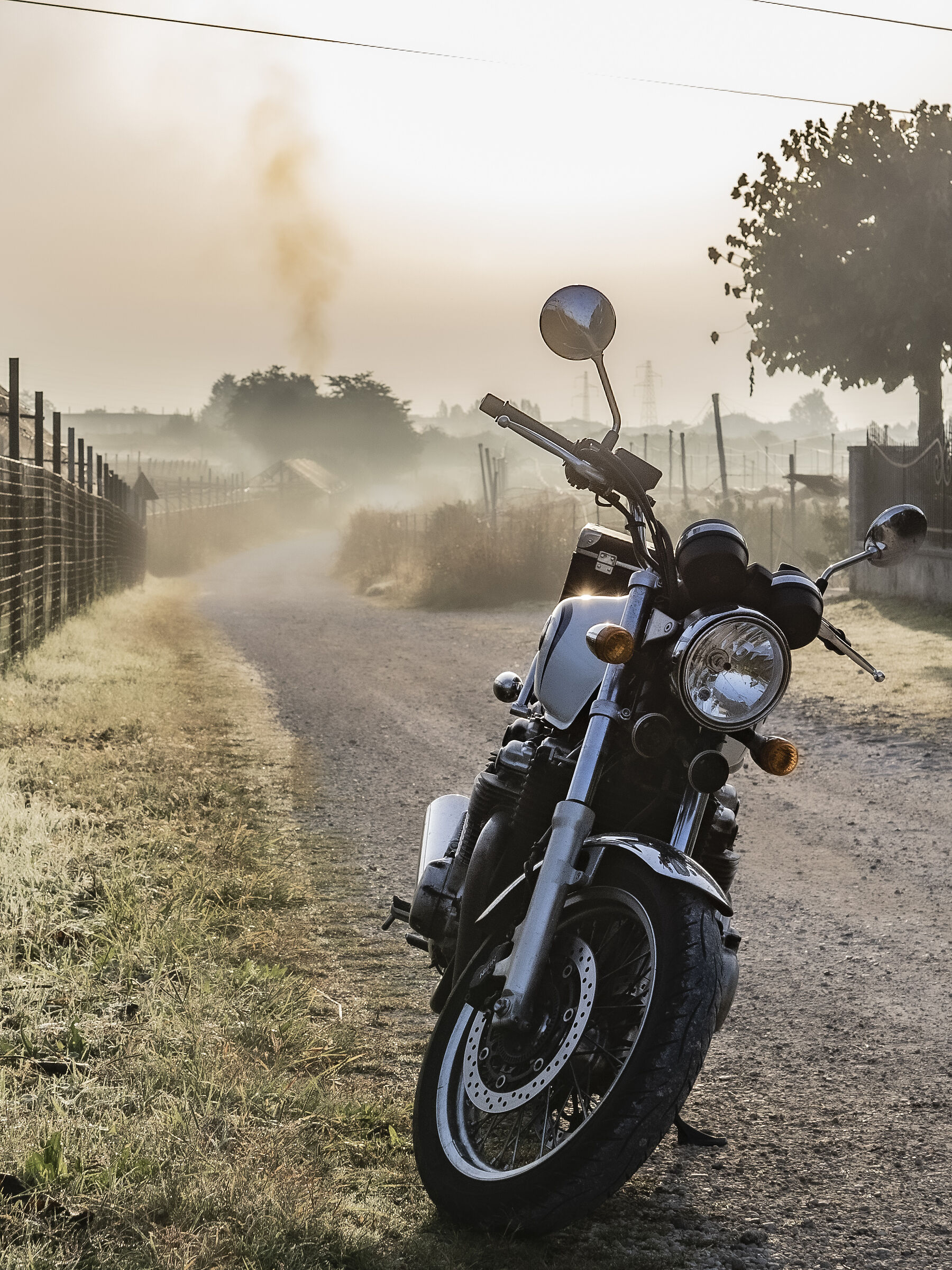 First mist of the morning