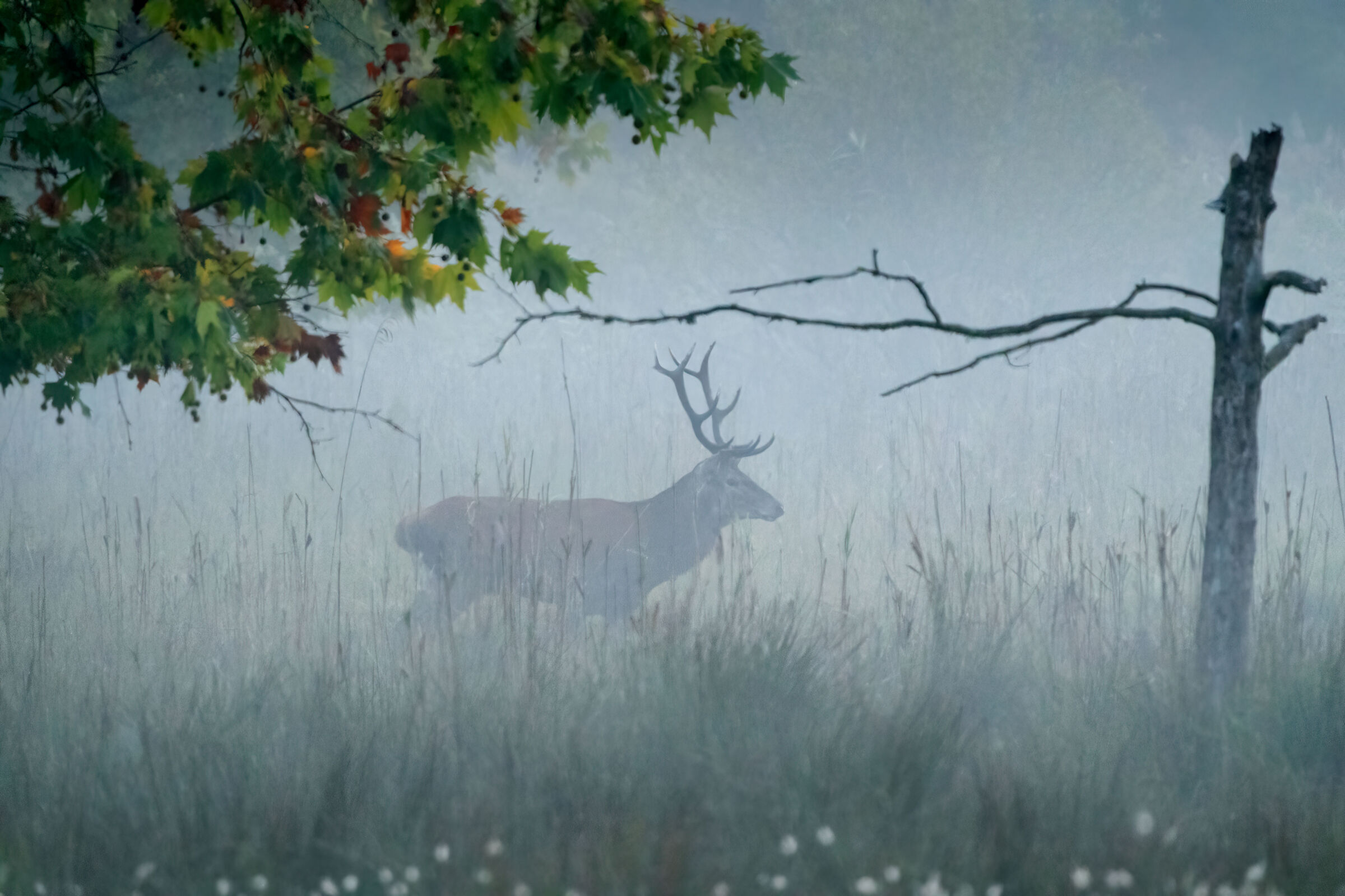 At dawn