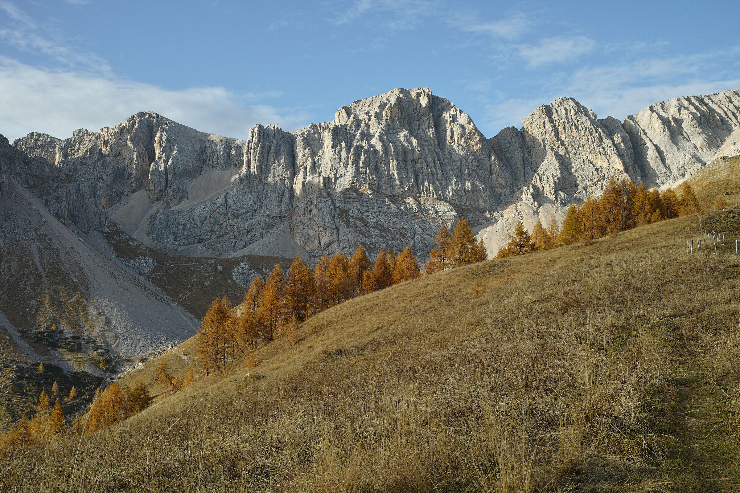 Untitled Photo