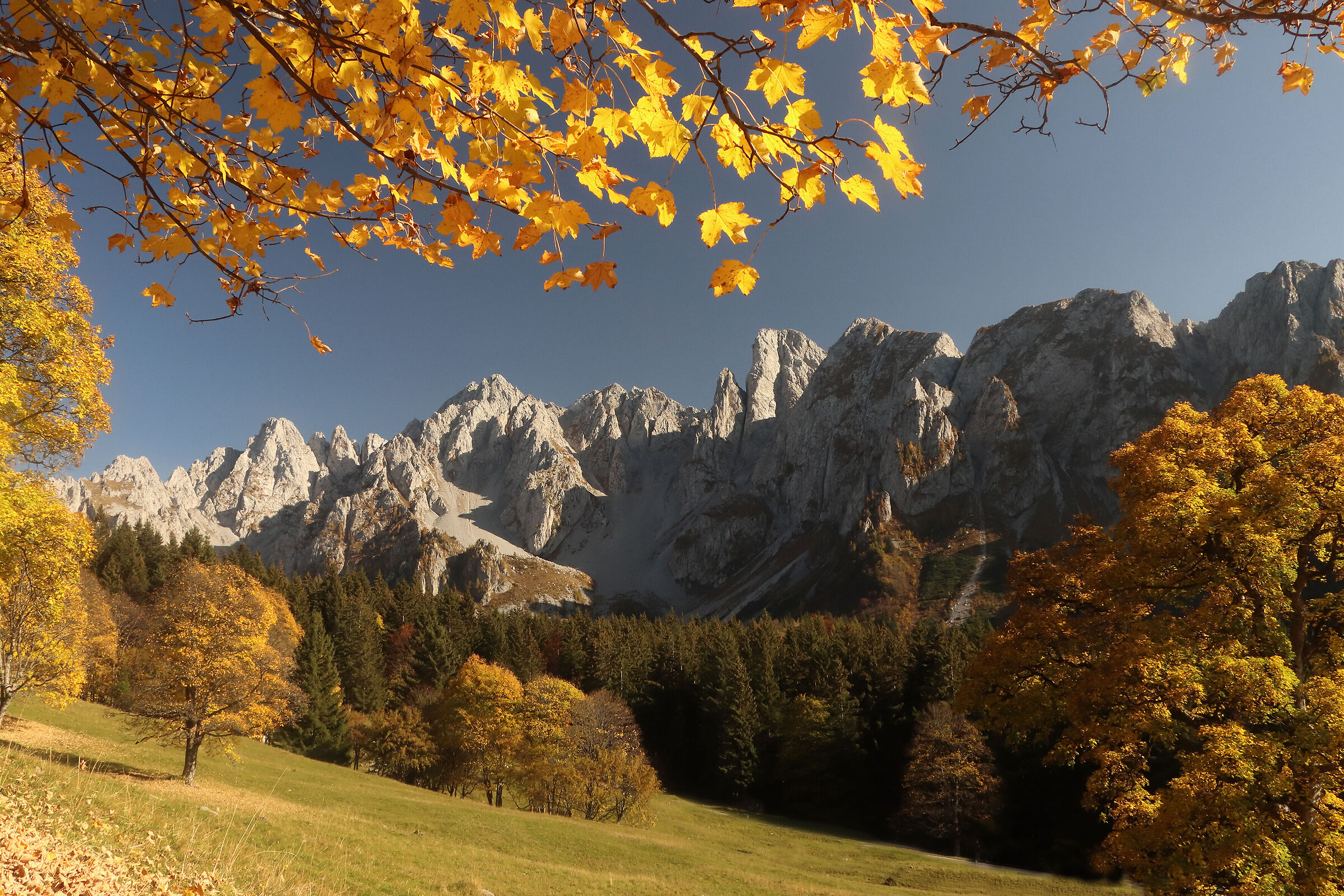 at Campelli di Schilpario