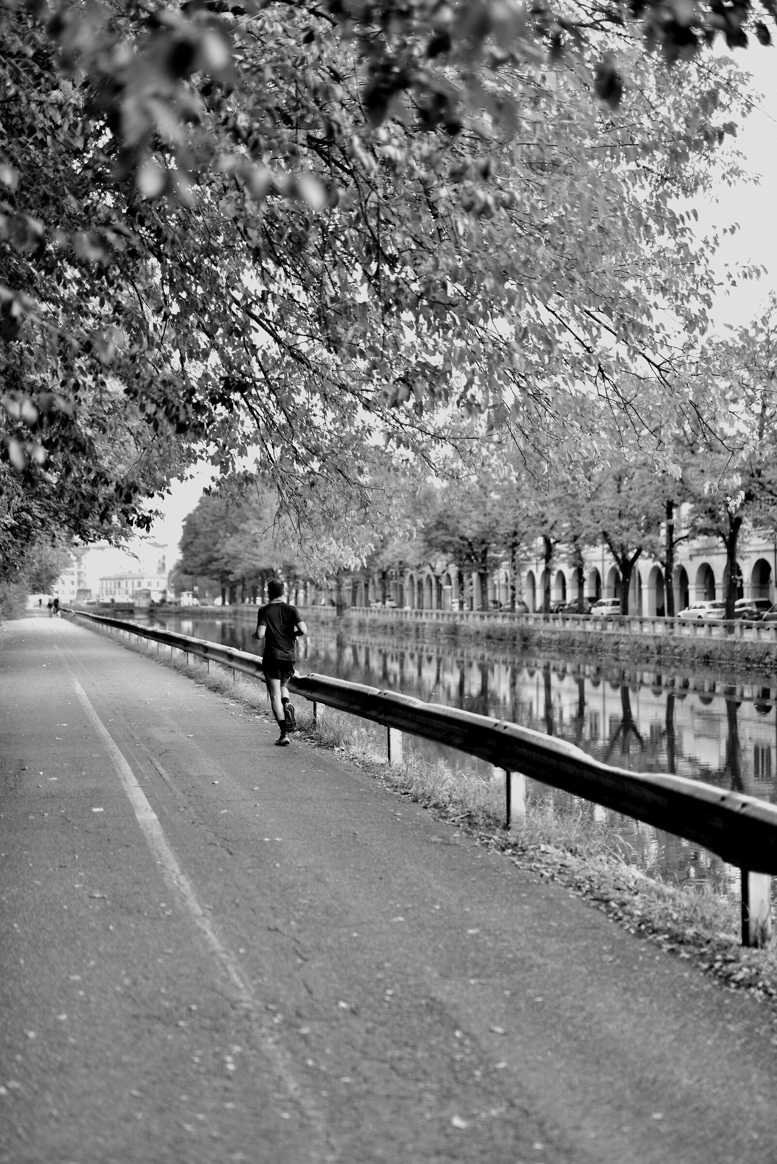 Run Forrest, run!