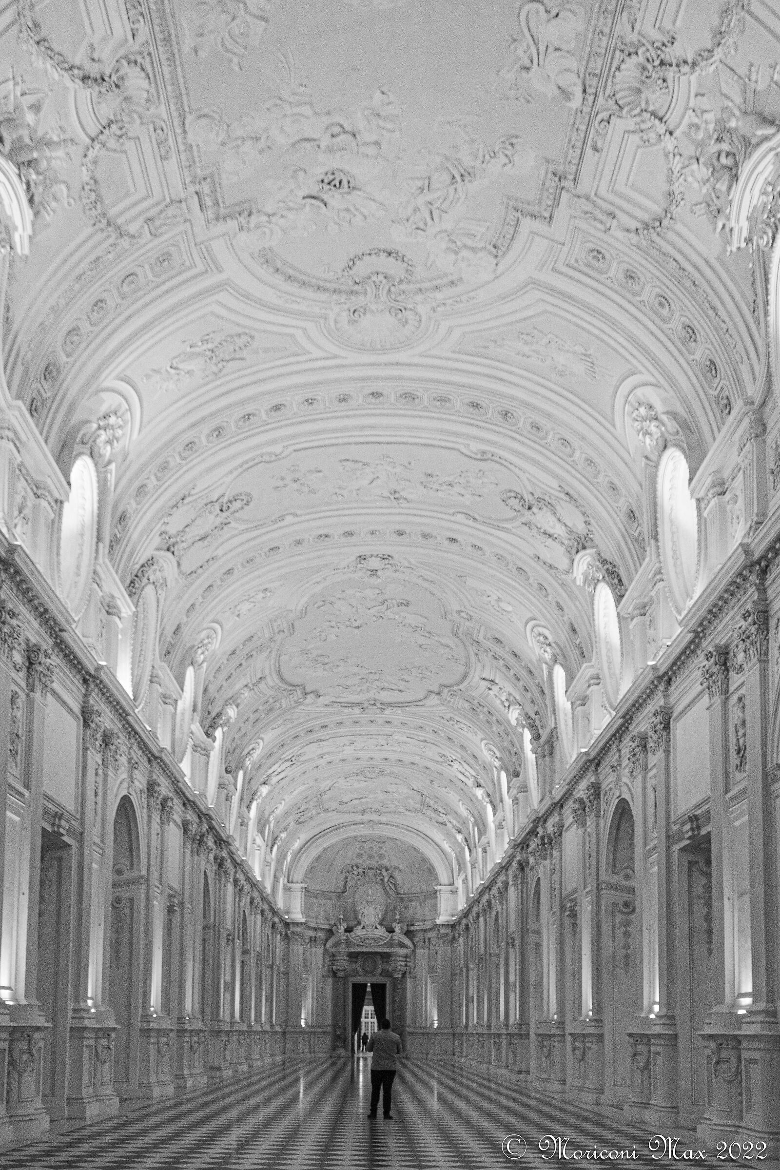 Admiring the Grand Gallery