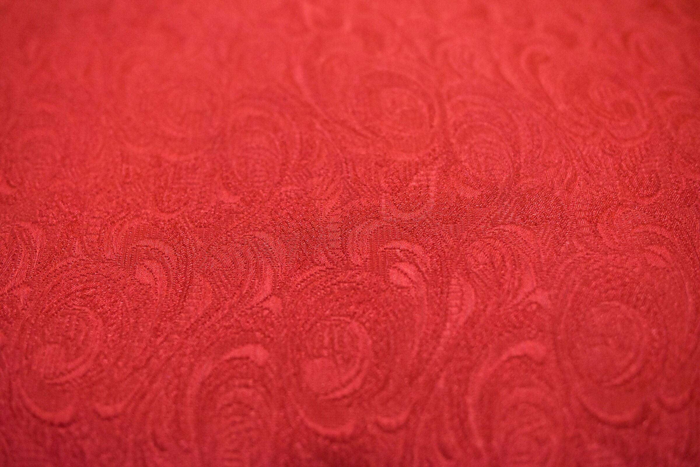 " ISO 12. 8 0 0 " , F. 2.4, 1/ 250- Nikon 28, 1.4 E ED