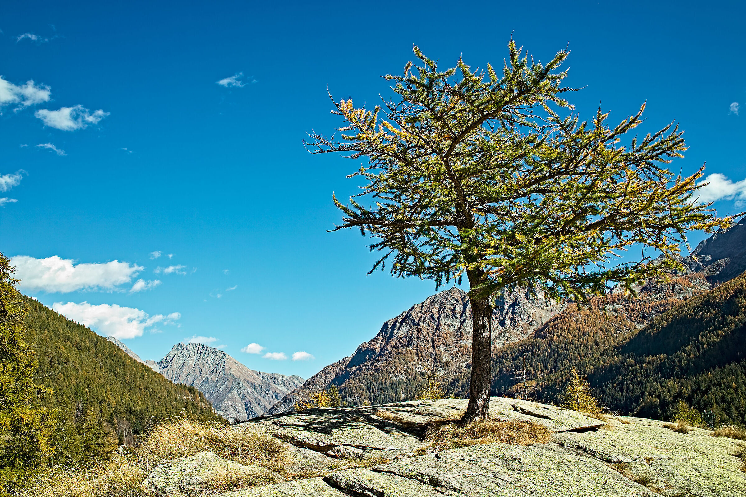 Orco Valley Gran Paradiso Park