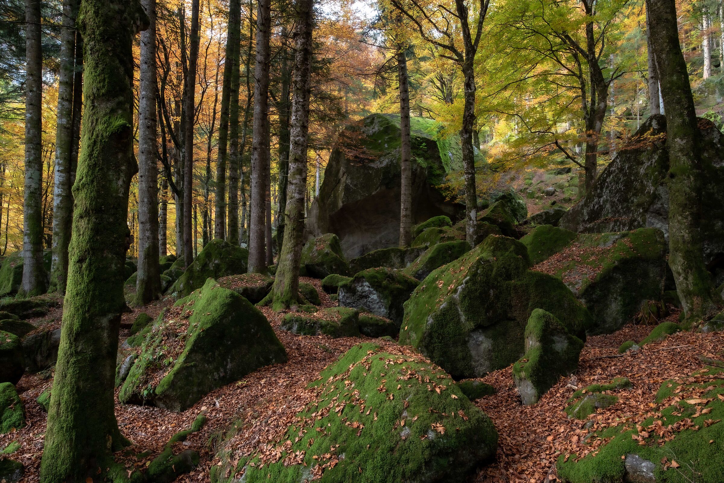 Ottobre in val Masino