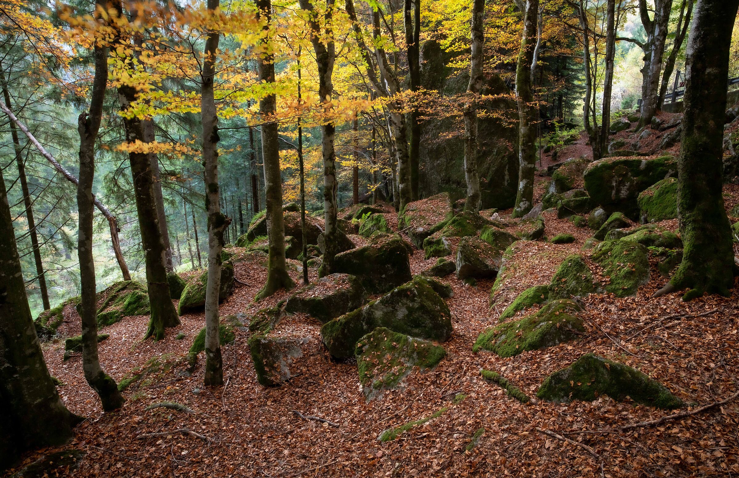 Ottobre in val Masino