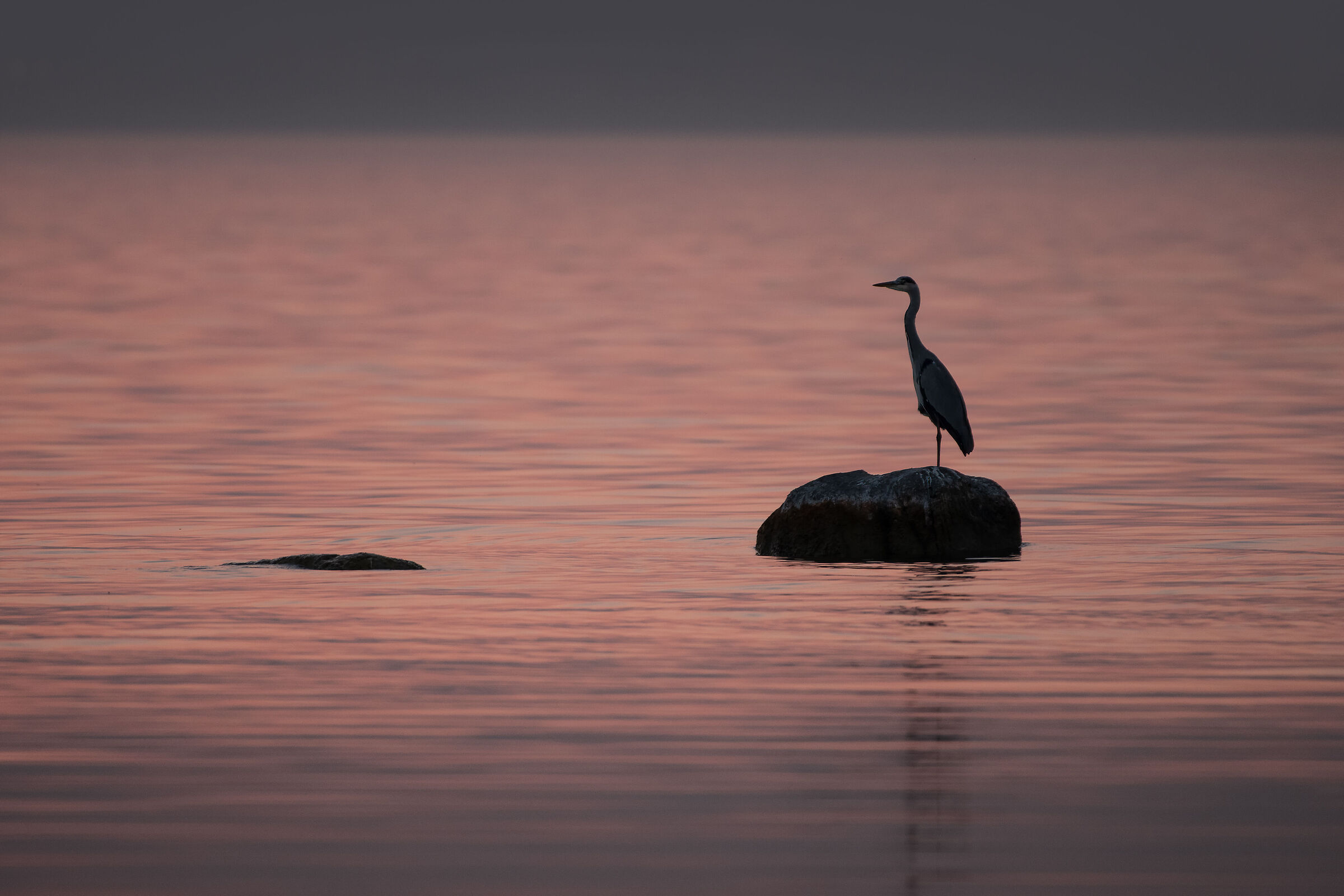 Cenerino al tramonto