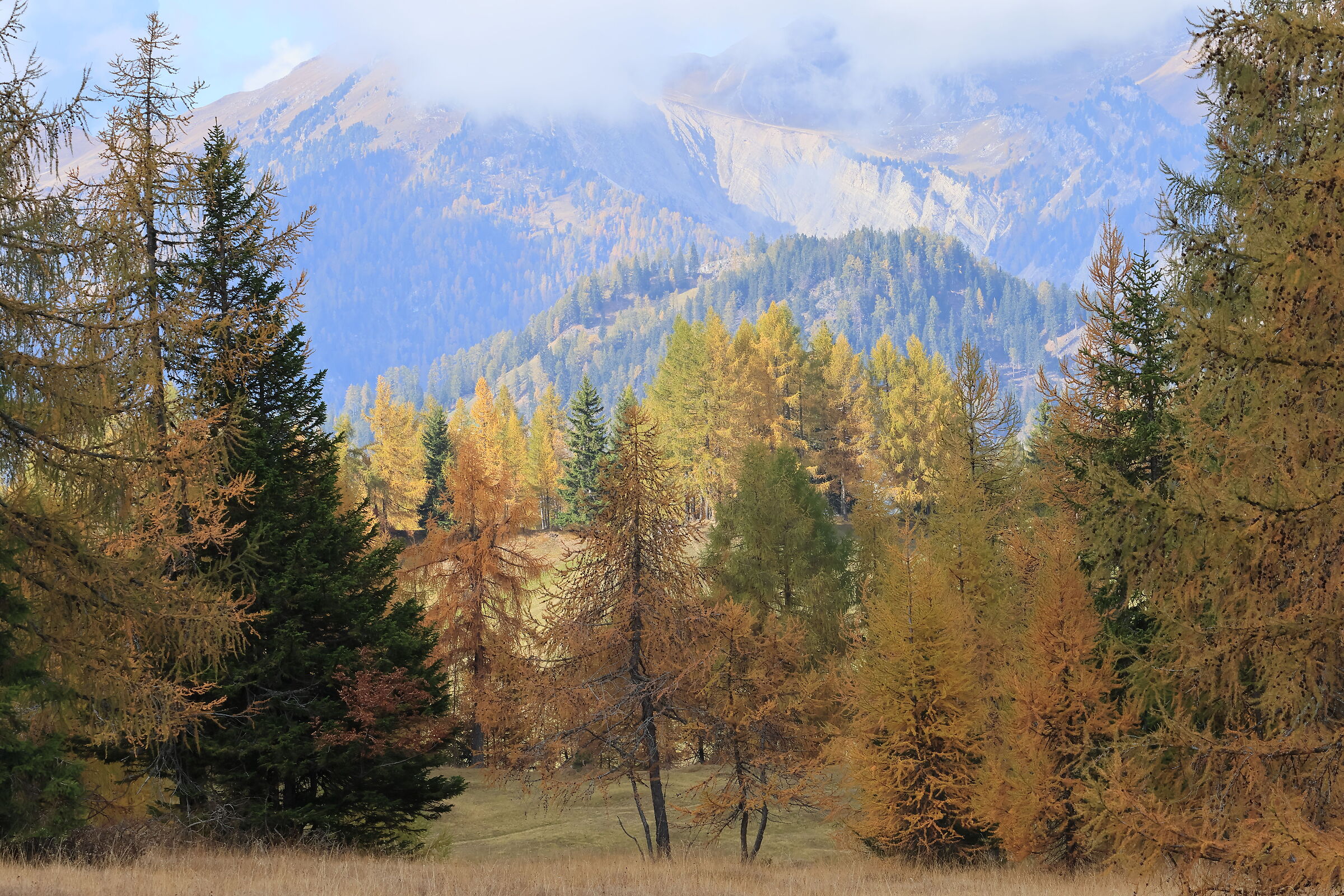 Prati dell'Armentara in Autunno