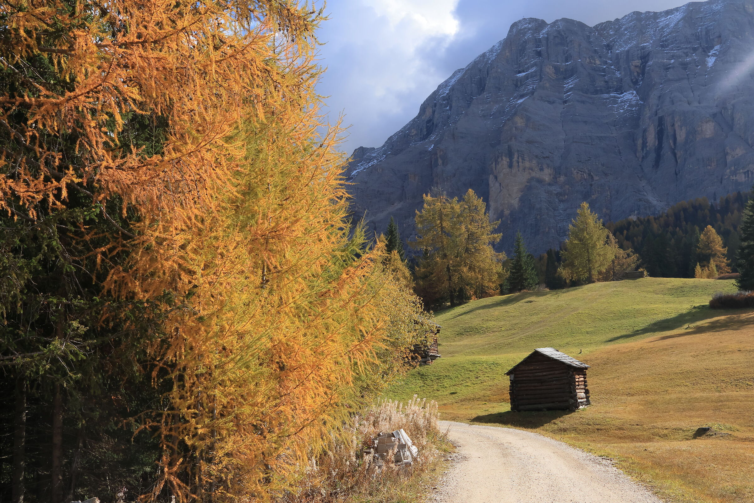 Prati dell'Armentara in Autunno