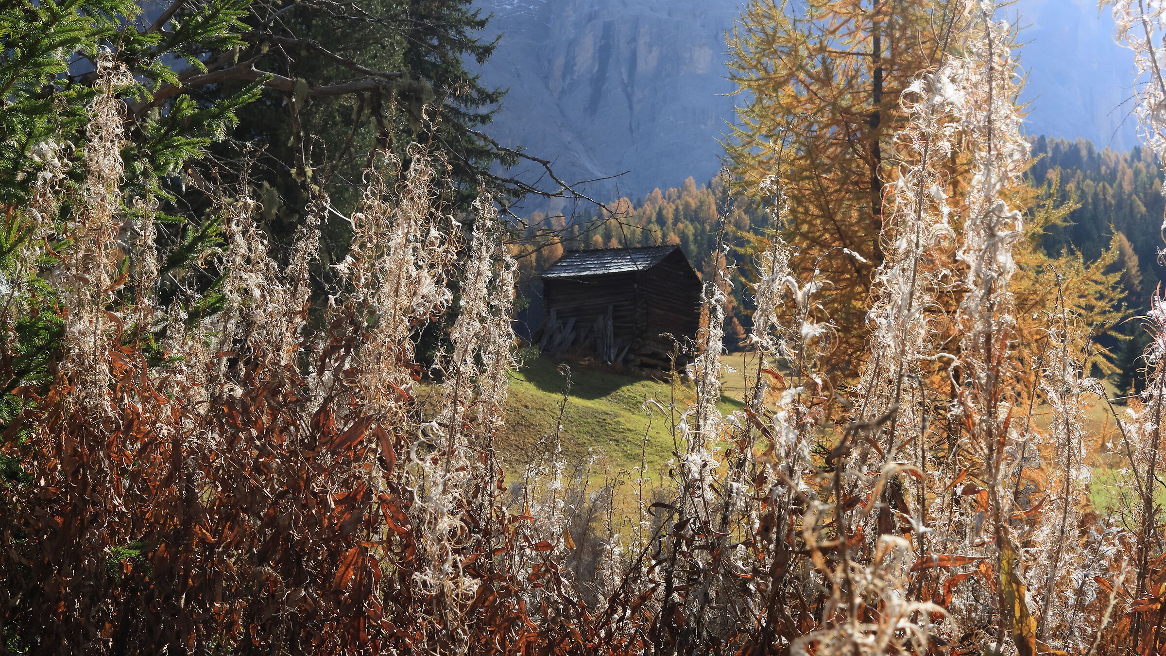 Prati dell'Armentara in Autunno