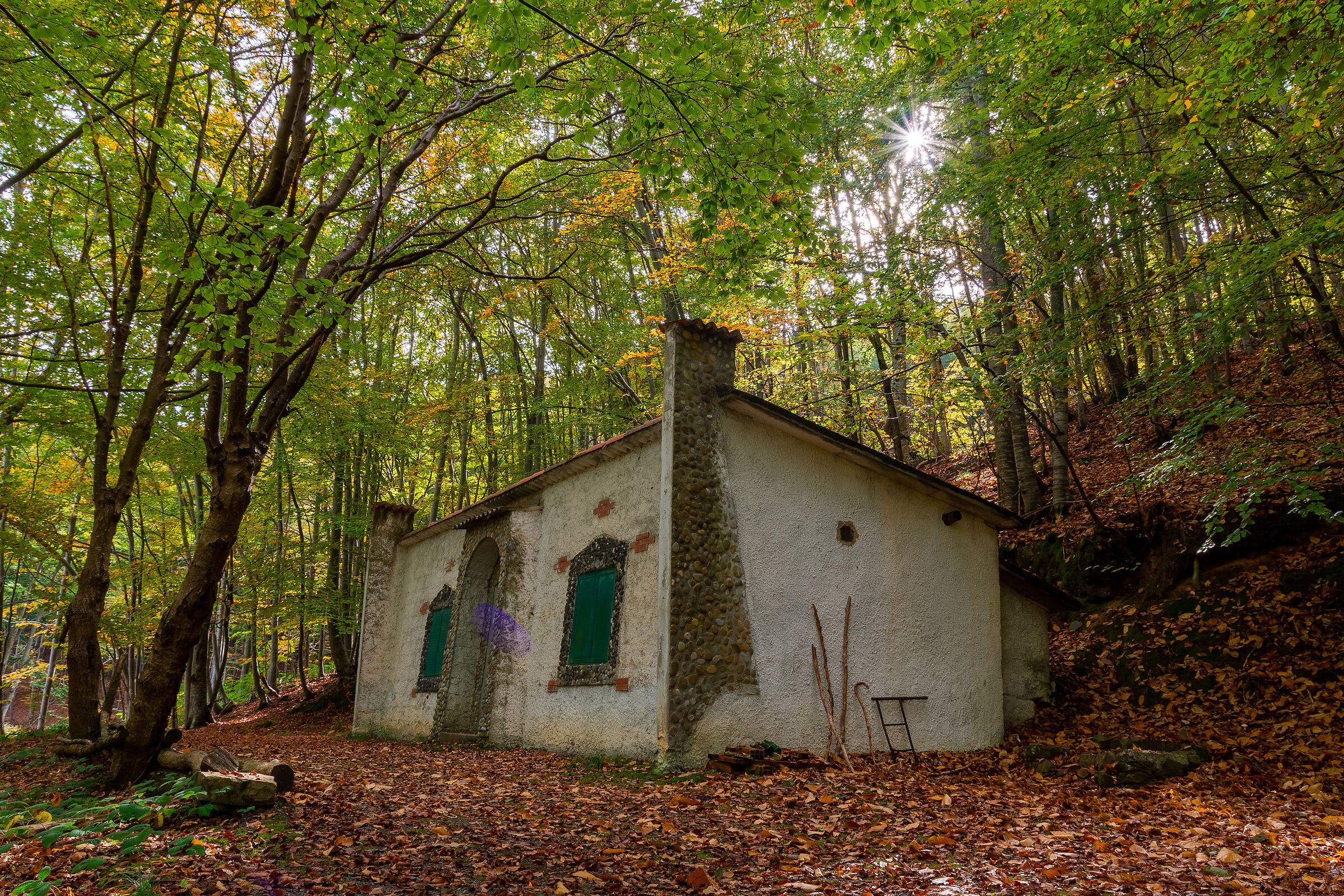 La casa nel bosco