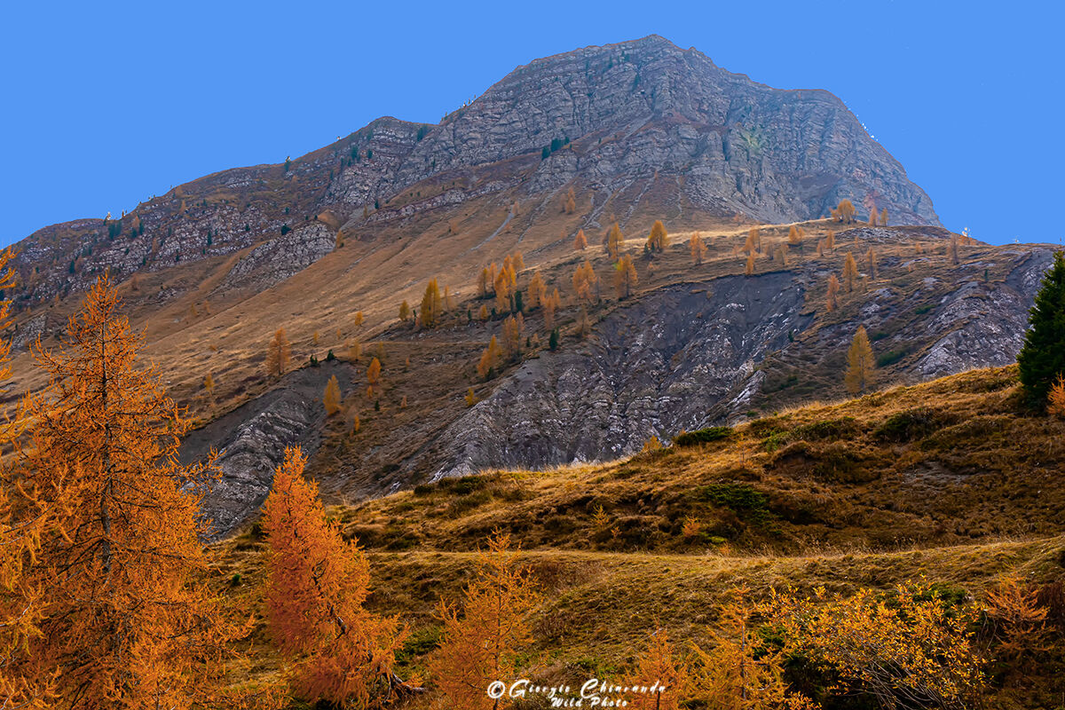 Cima Venegia e i suoi colori autunnali