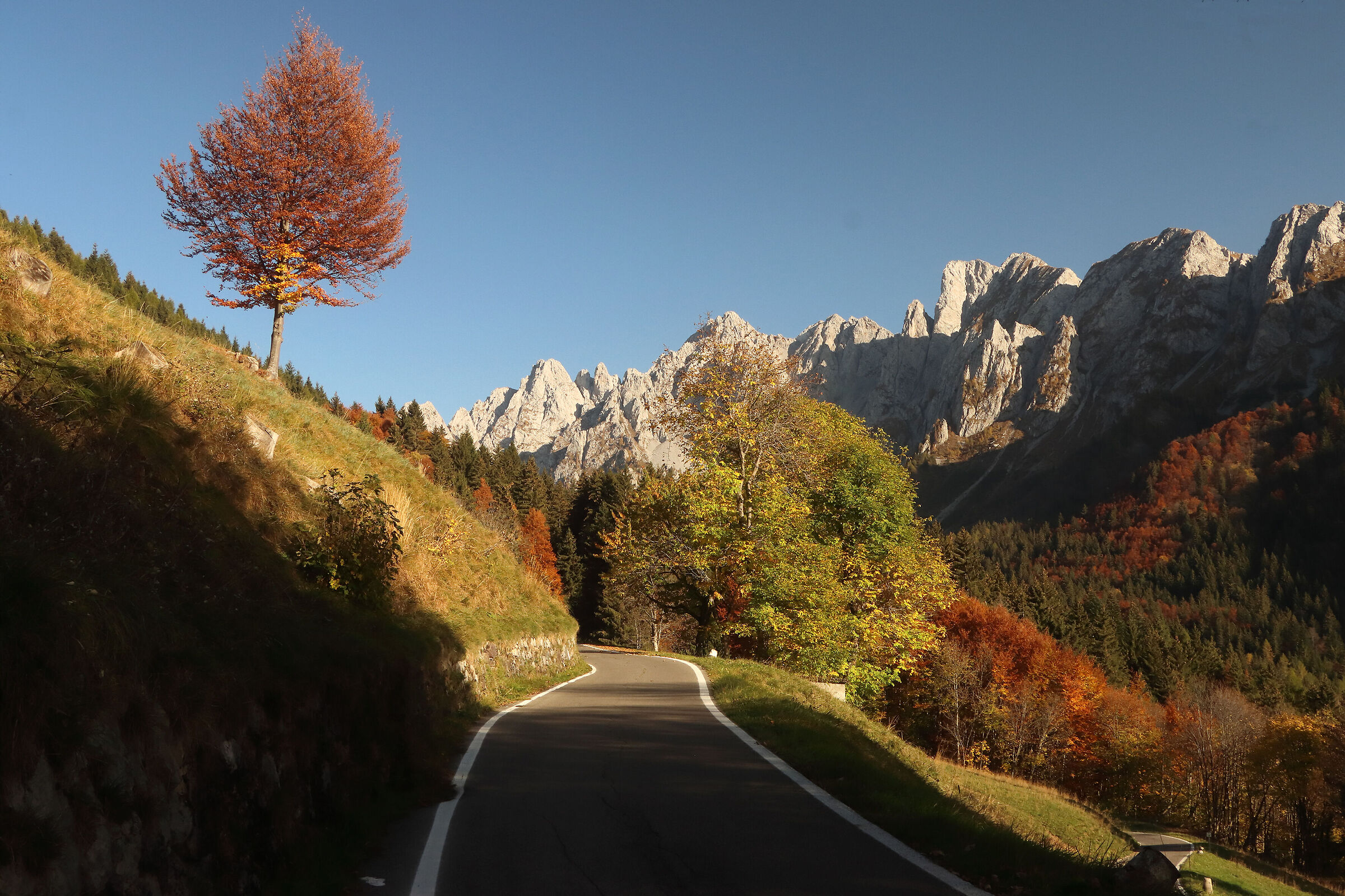 le strade del paradiso