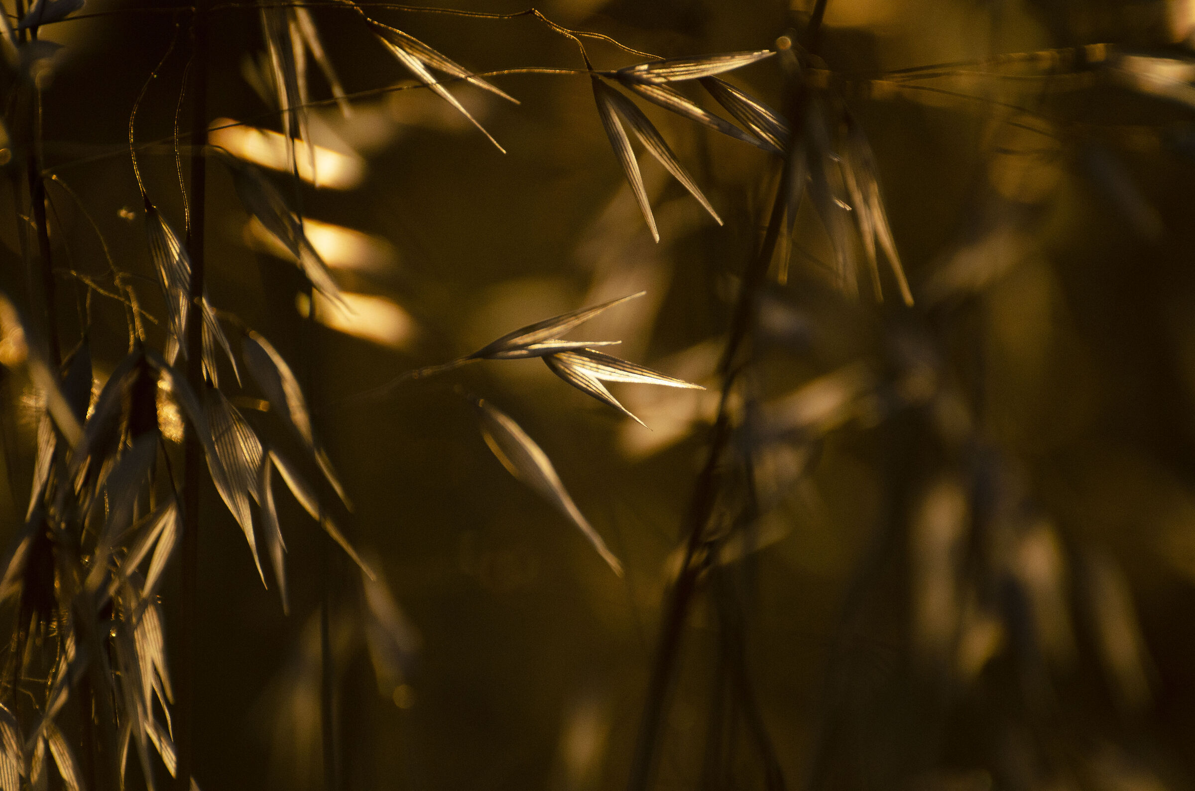 Giochi di luce al tramonto