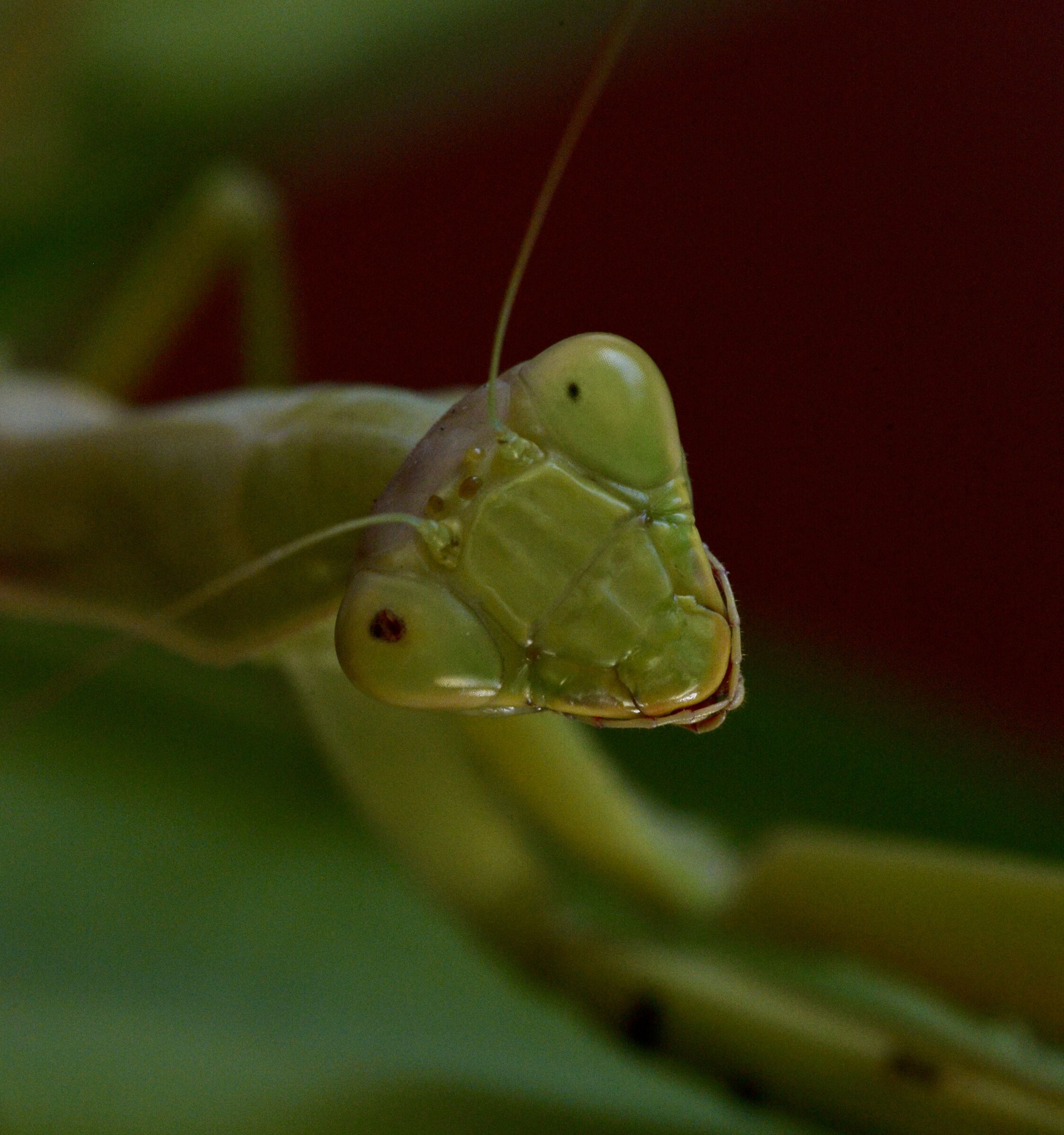 Beh?? Che hai da guardare???