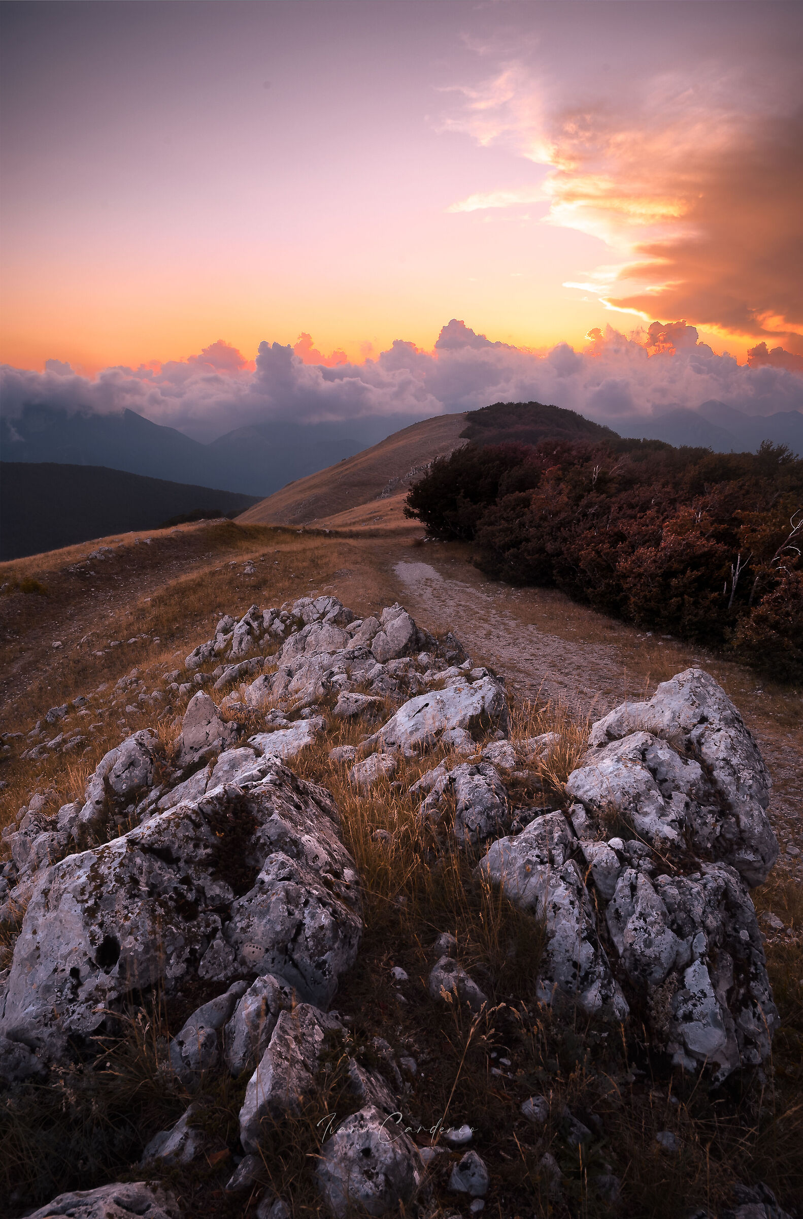 View from the top.