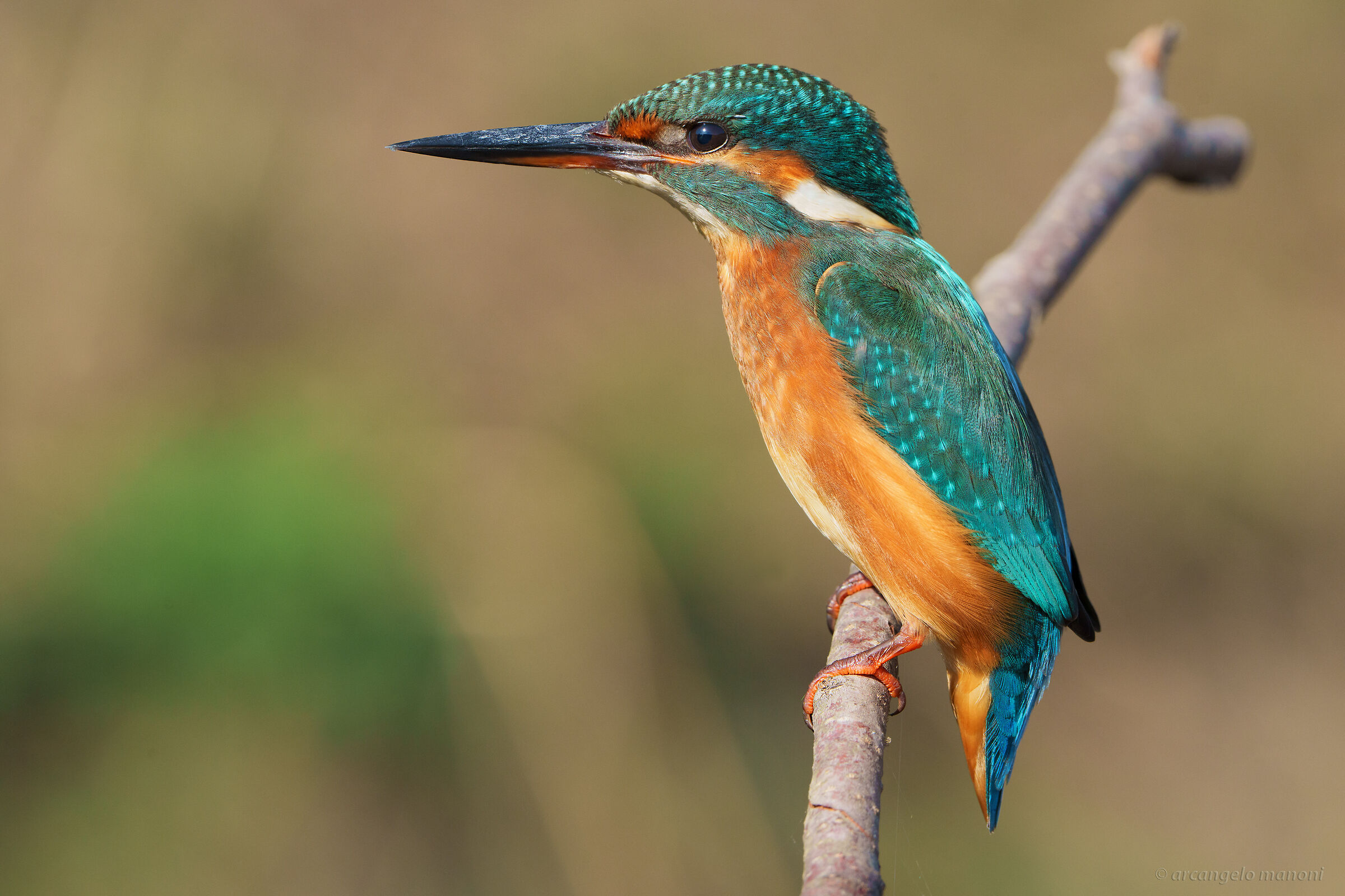 The head of the river