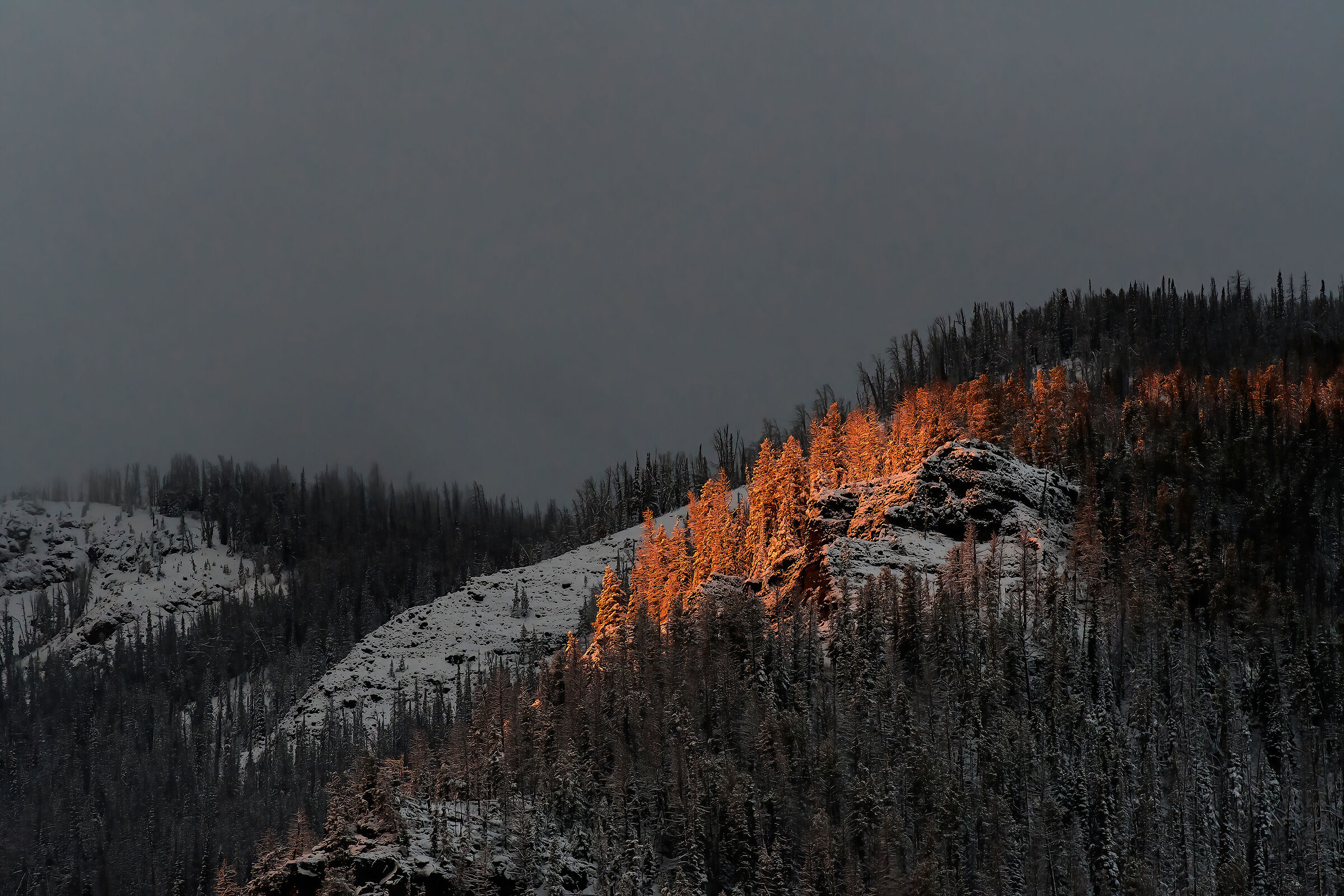 Primo raggio di sole nella nebbia