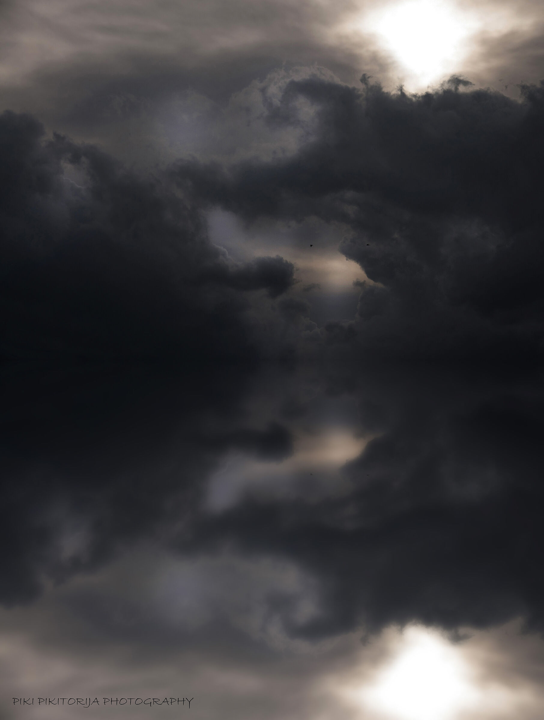 Untitled Photo