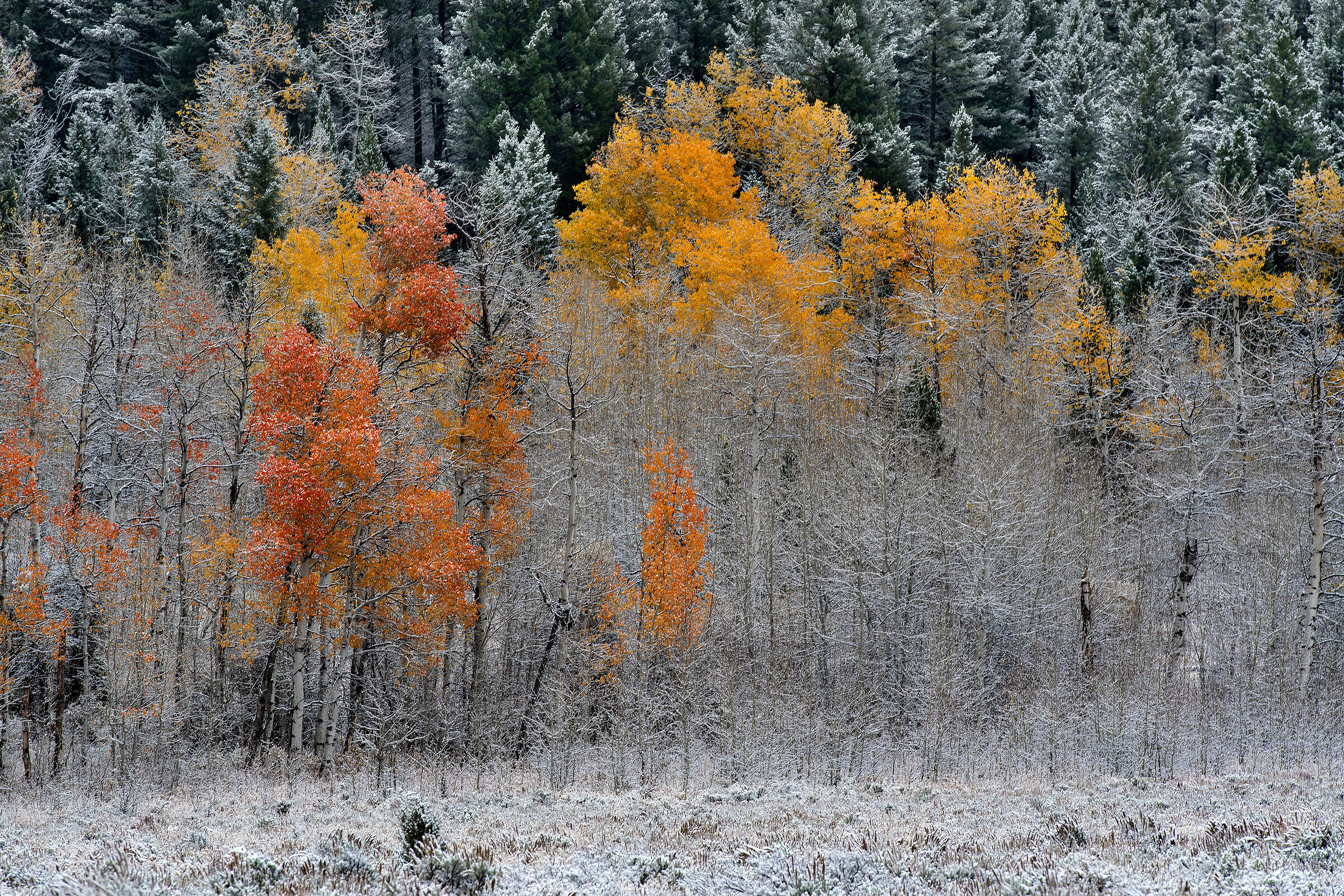 Prima neve autunnale