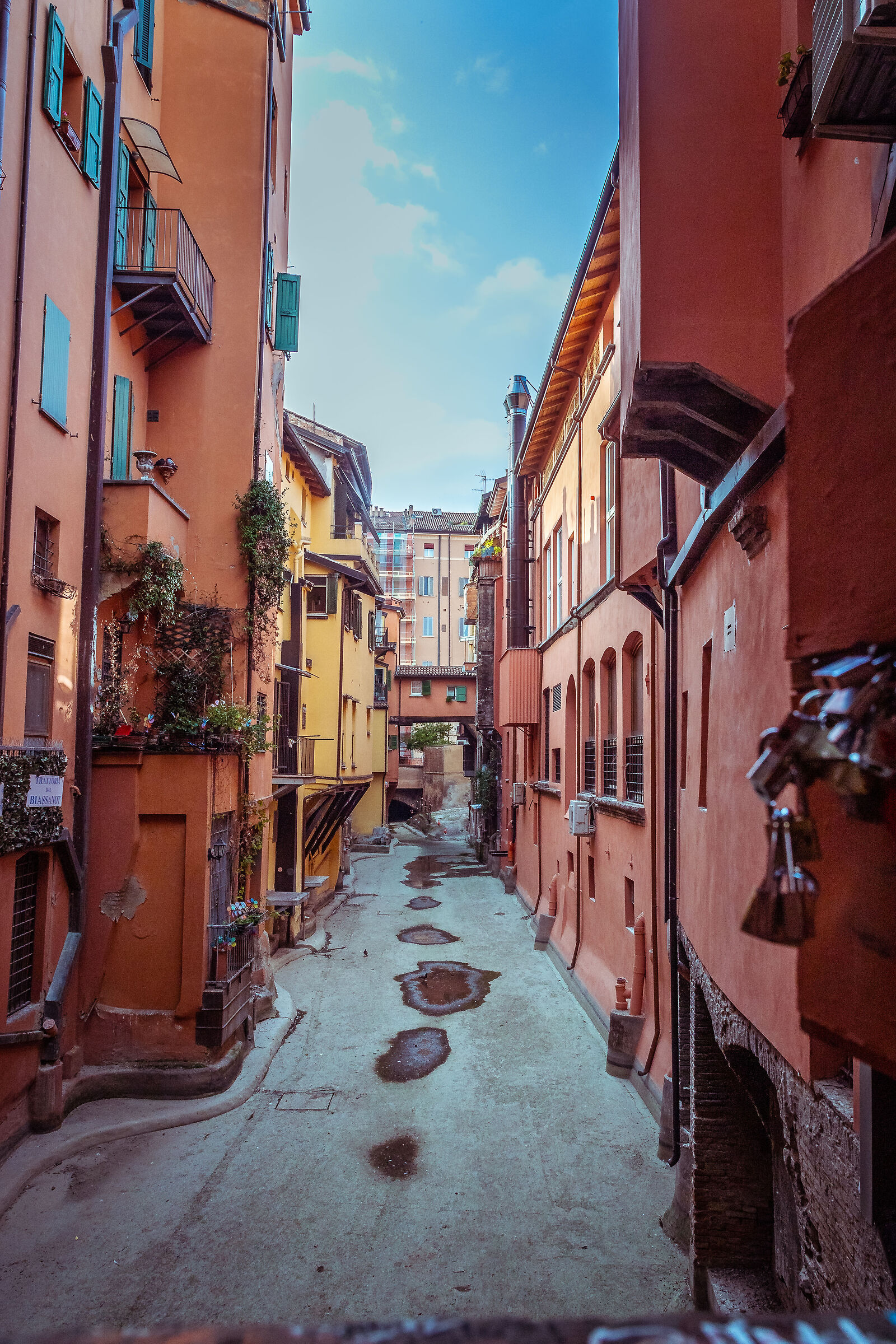 The endless summer in Bologna