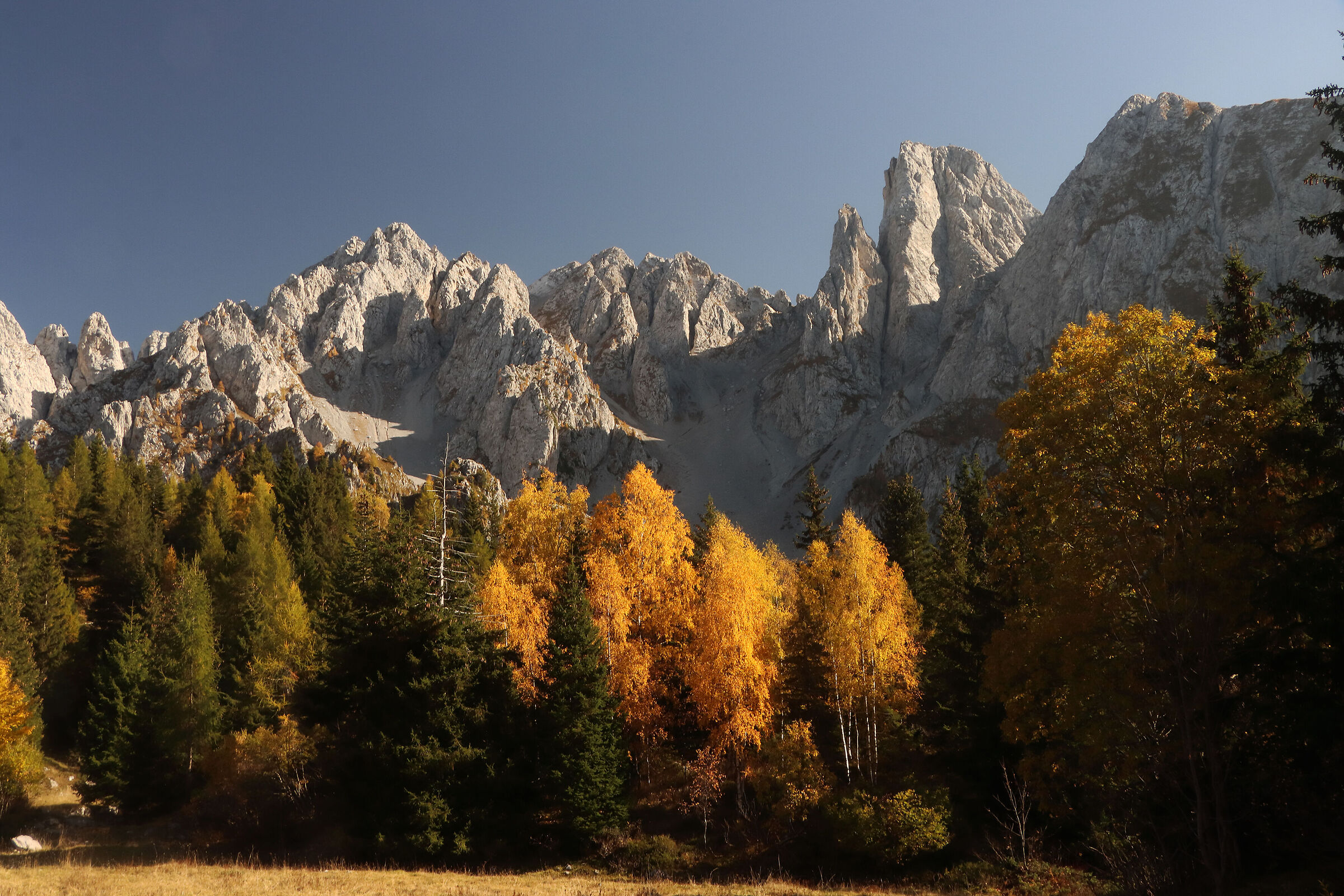 il pinnacolo del Bagozza -