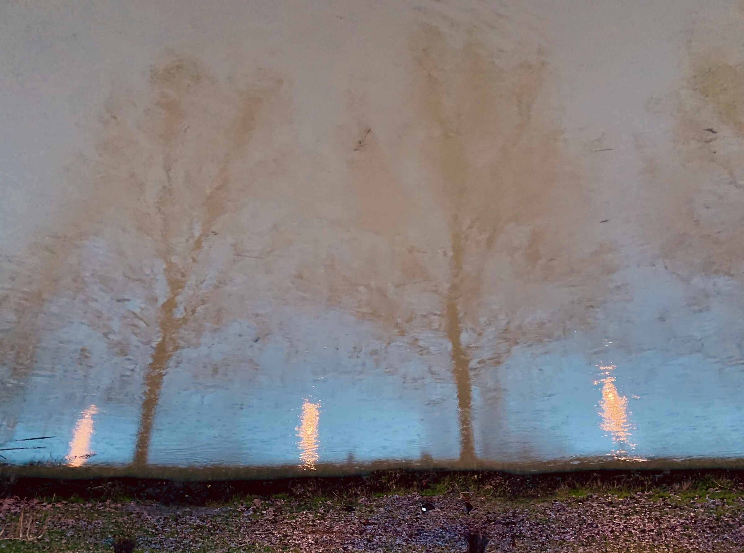 Poetic fires