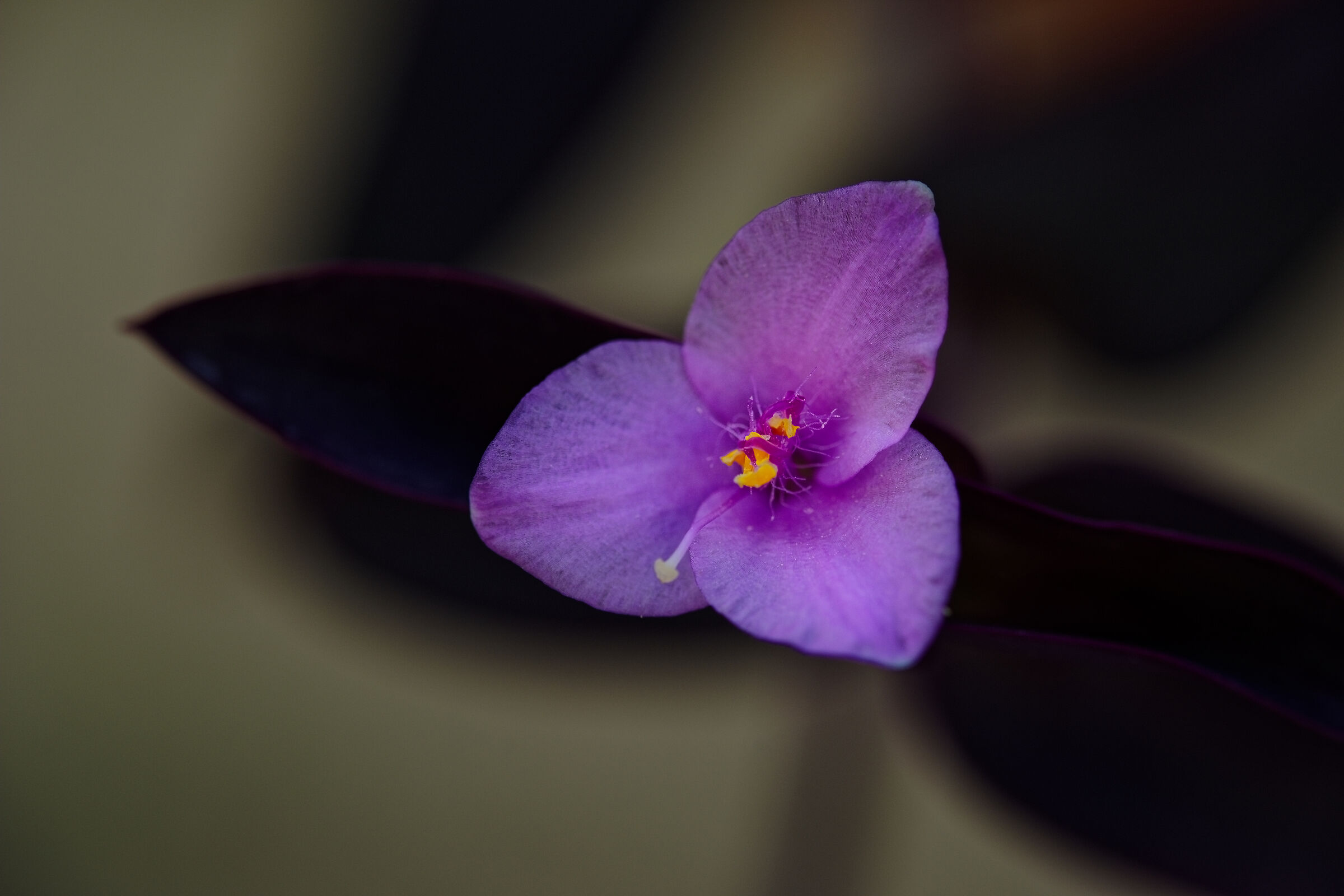 Untitled Photo