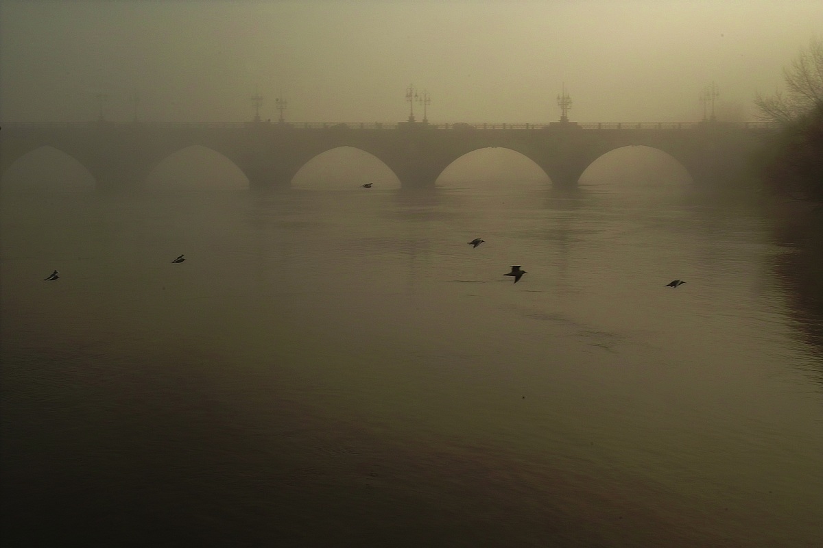 shots from the world