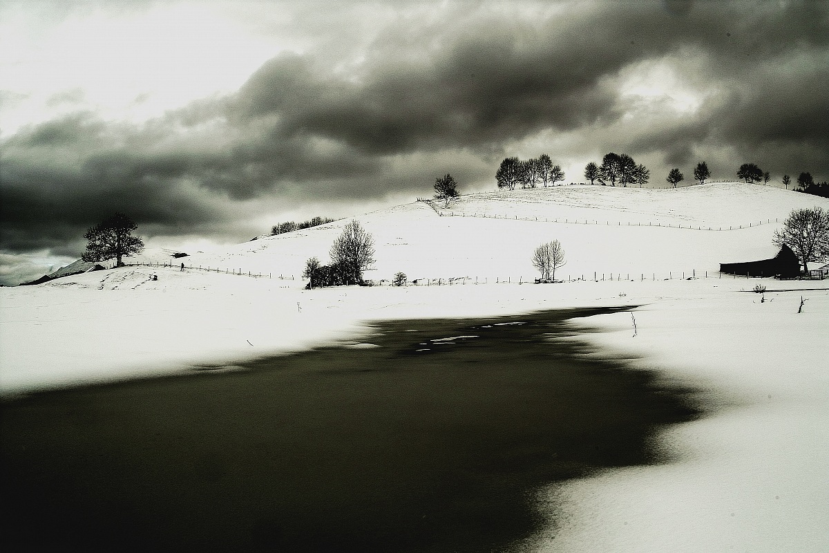 shots from the world